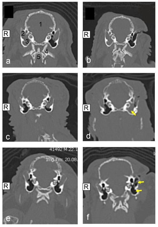 Animals 15 01142 g001