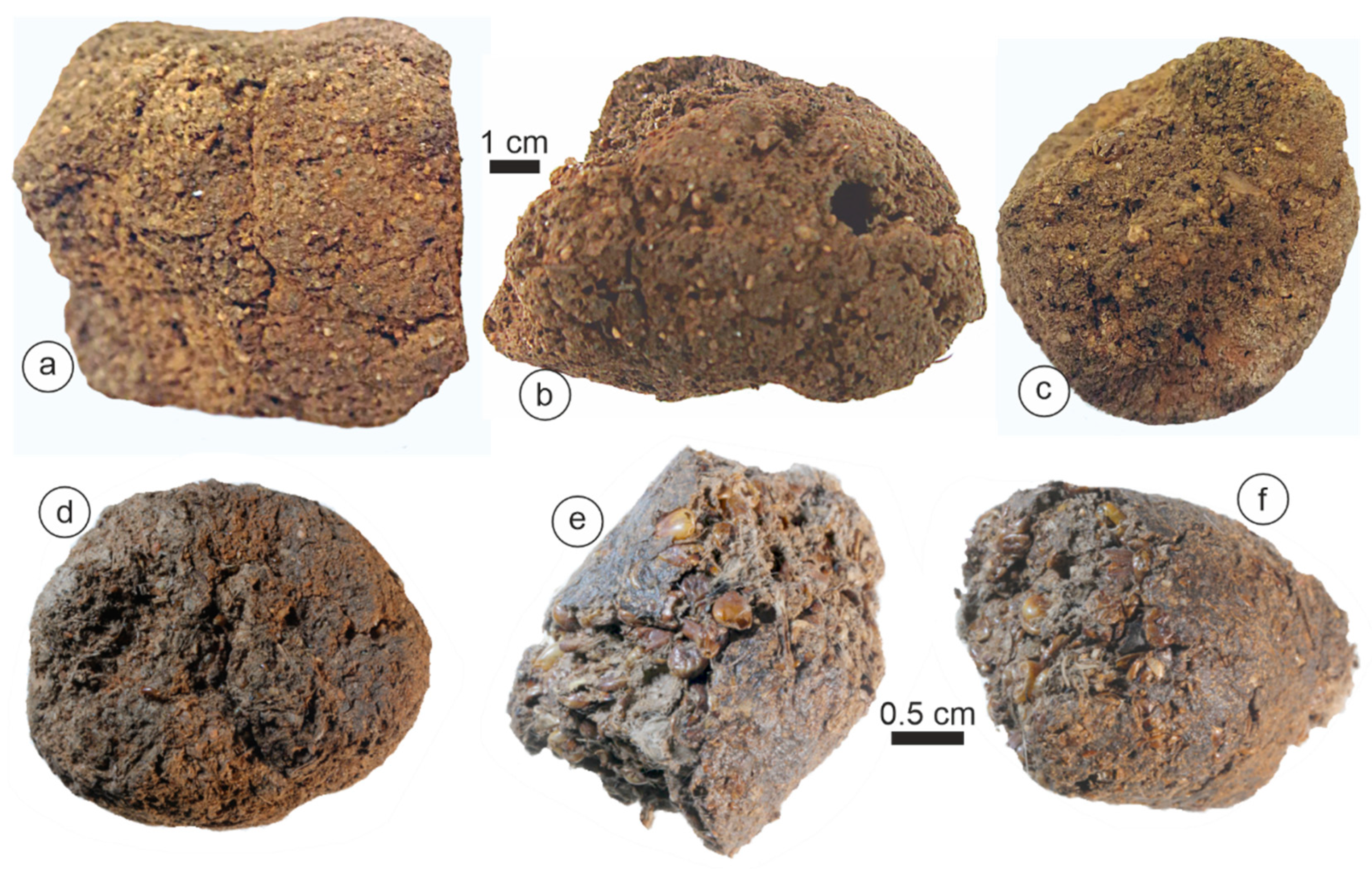 Animals 15 01145 g005