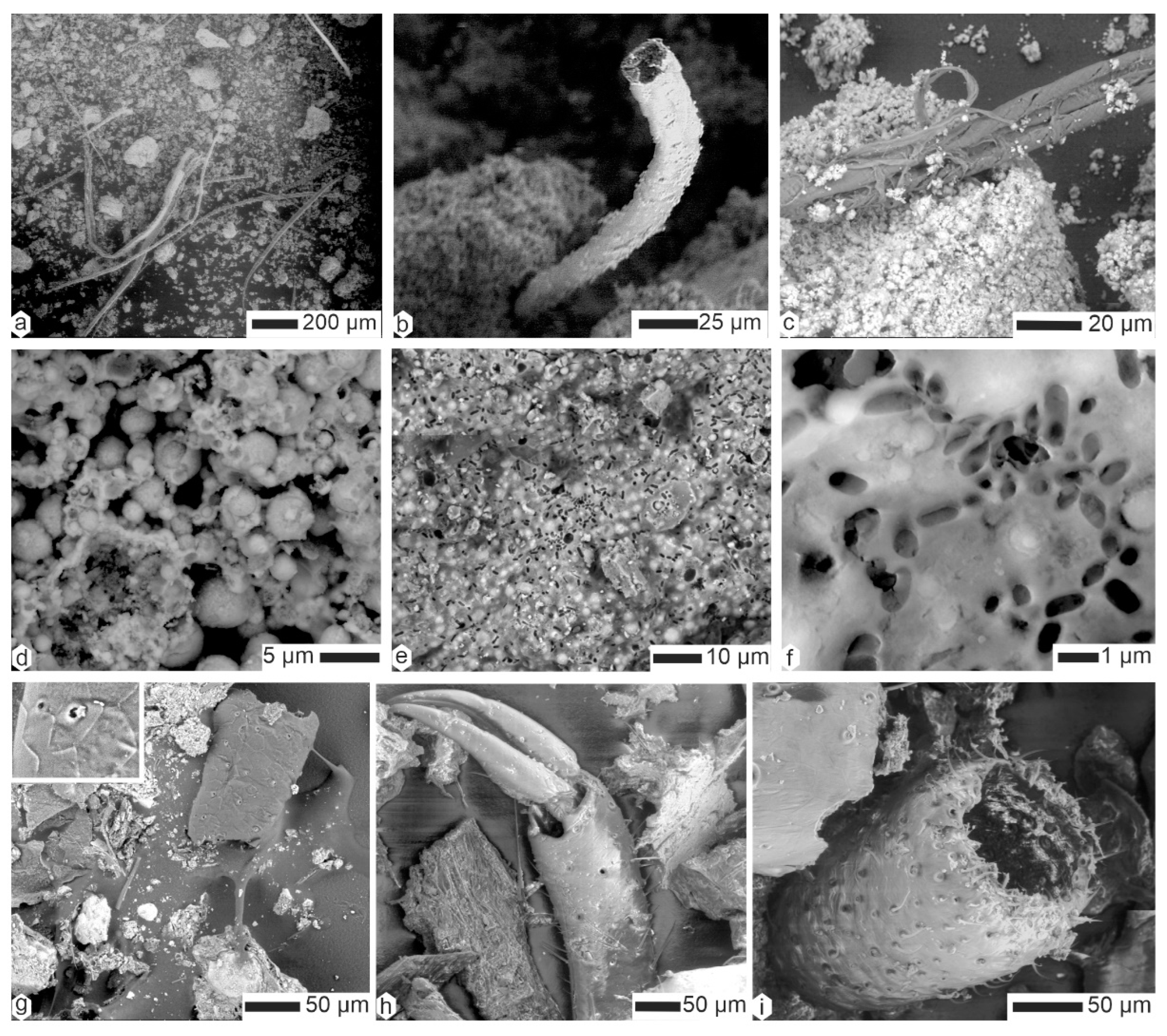 Animals 15 01145 g009