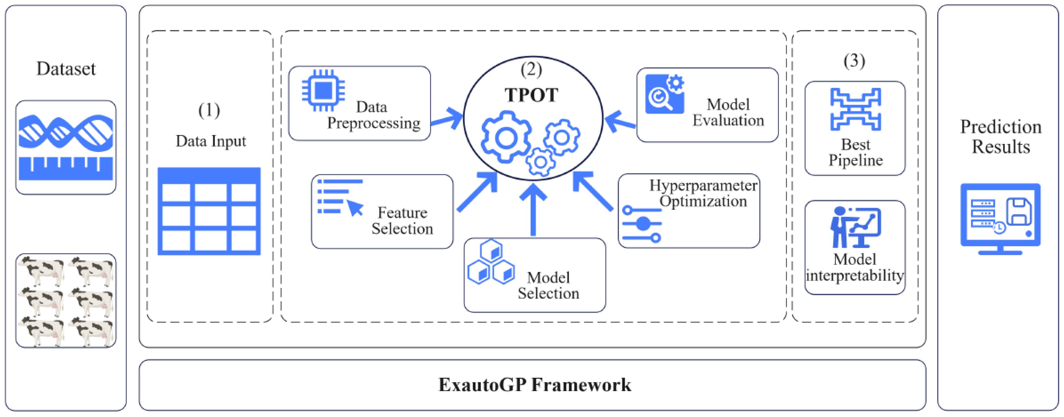 Animals 15 01172 g001