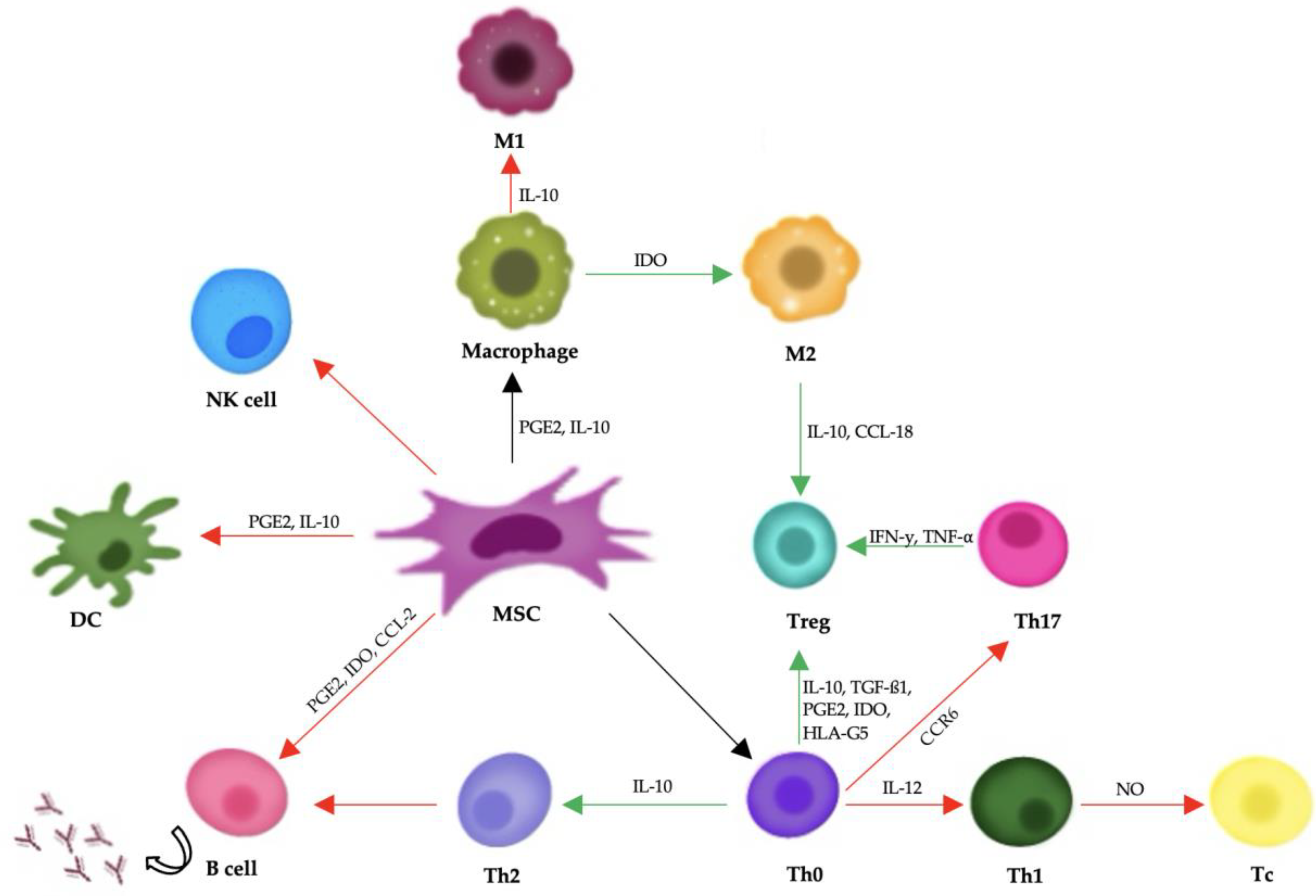 Animals 15 01175 g002