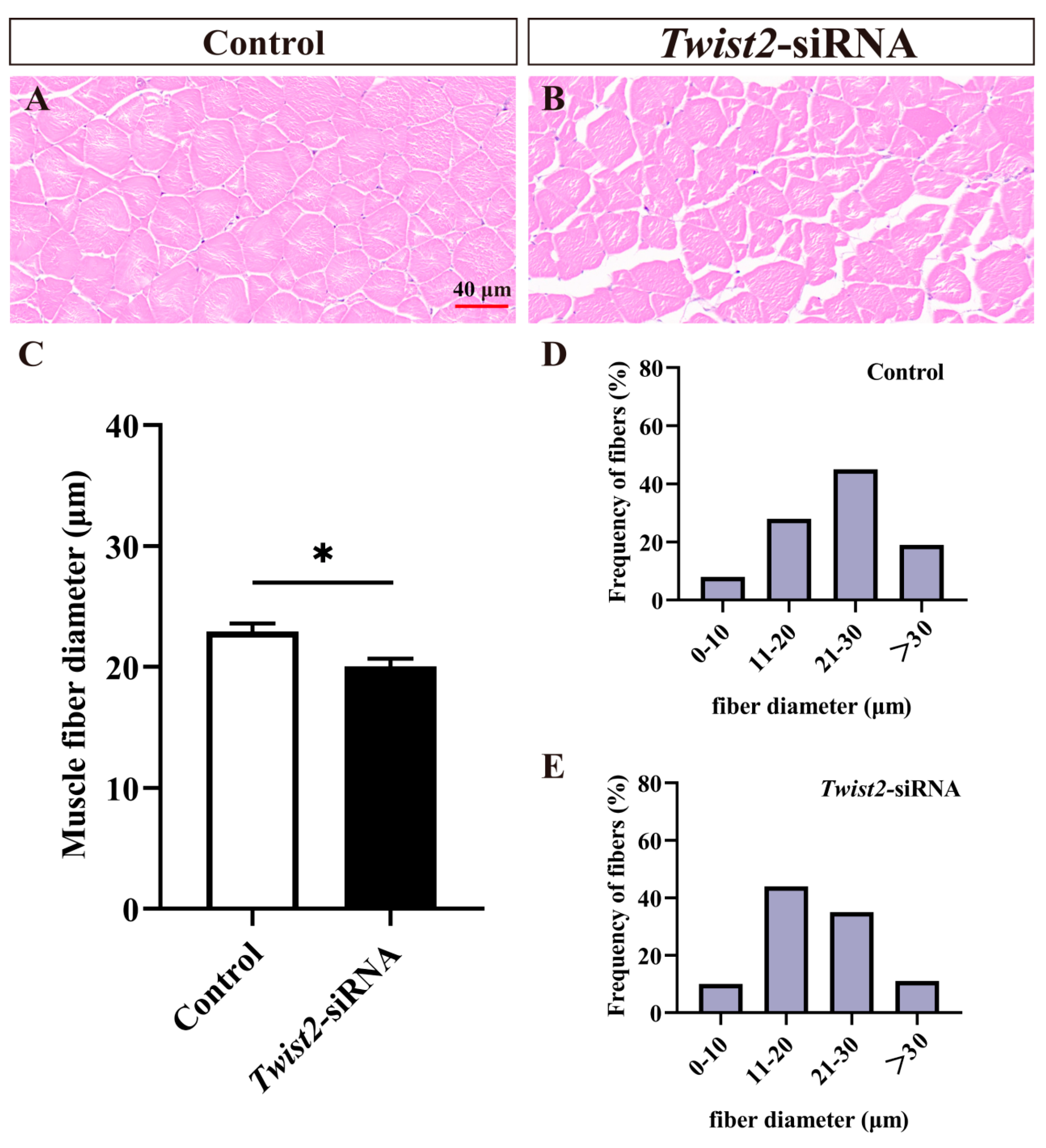 Animals 15 01177 g003