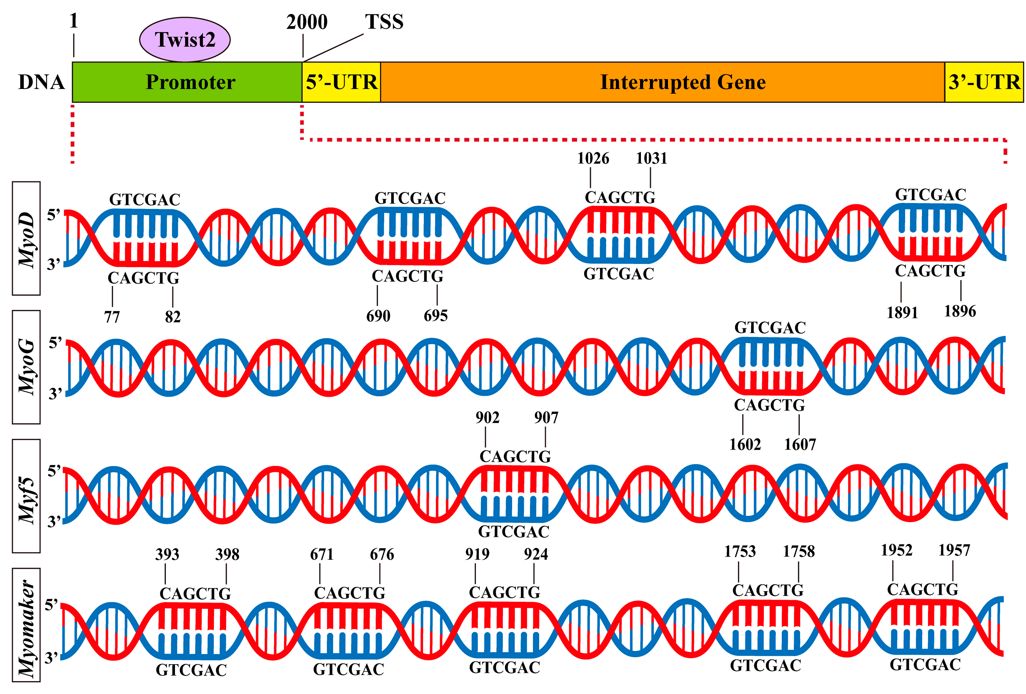 Animals 15 01177 g006