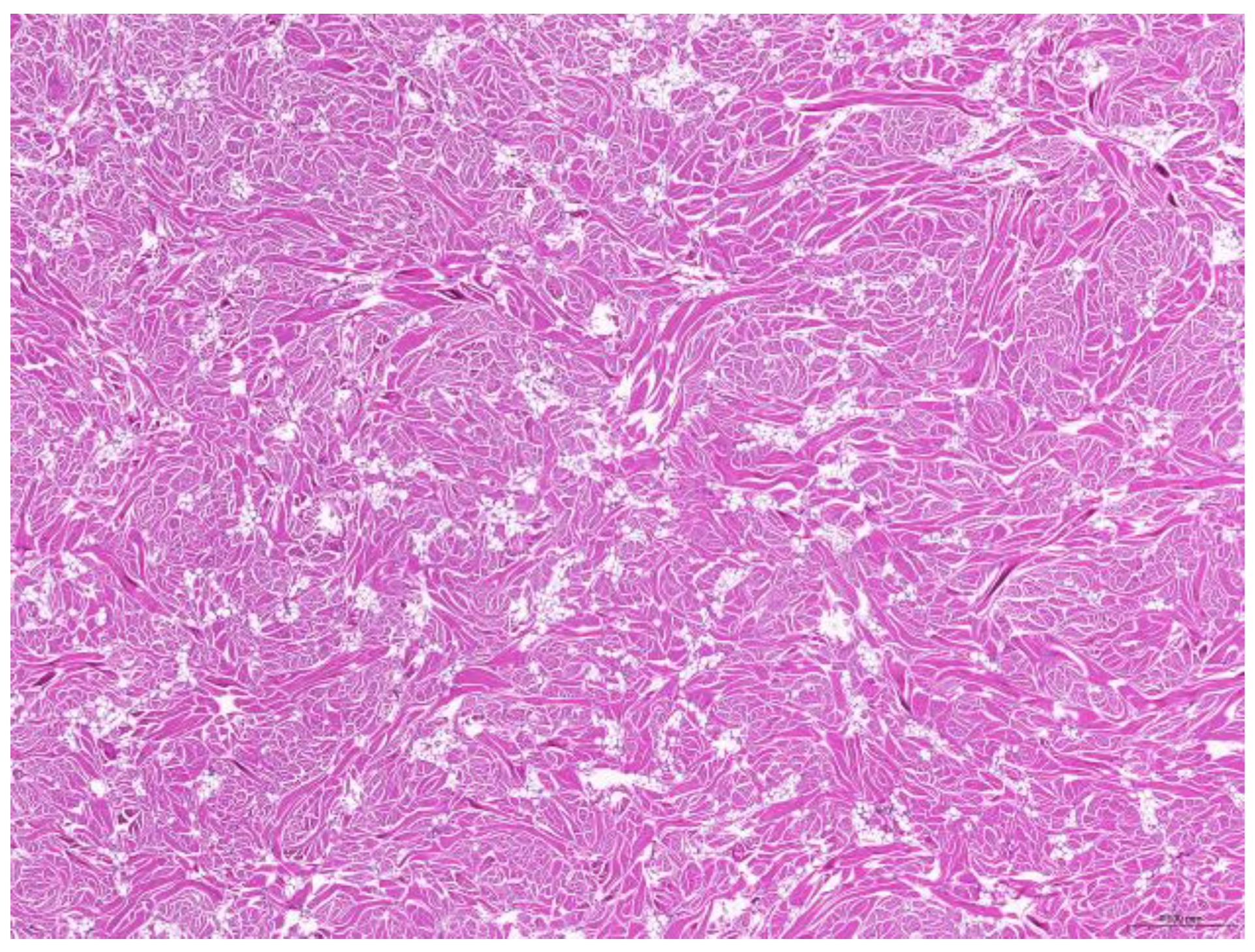 Animals 15 01234 g003