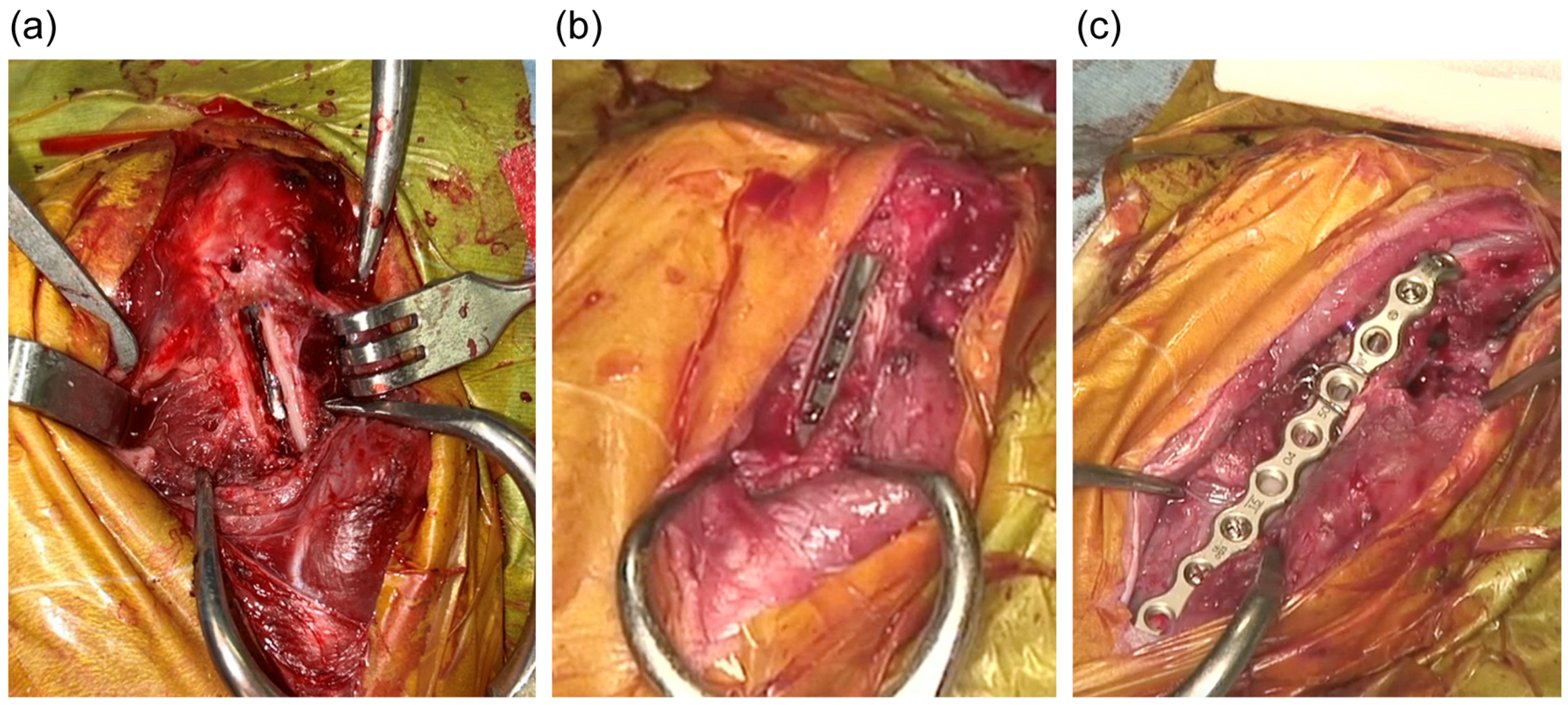 Animals 15 01237 g003