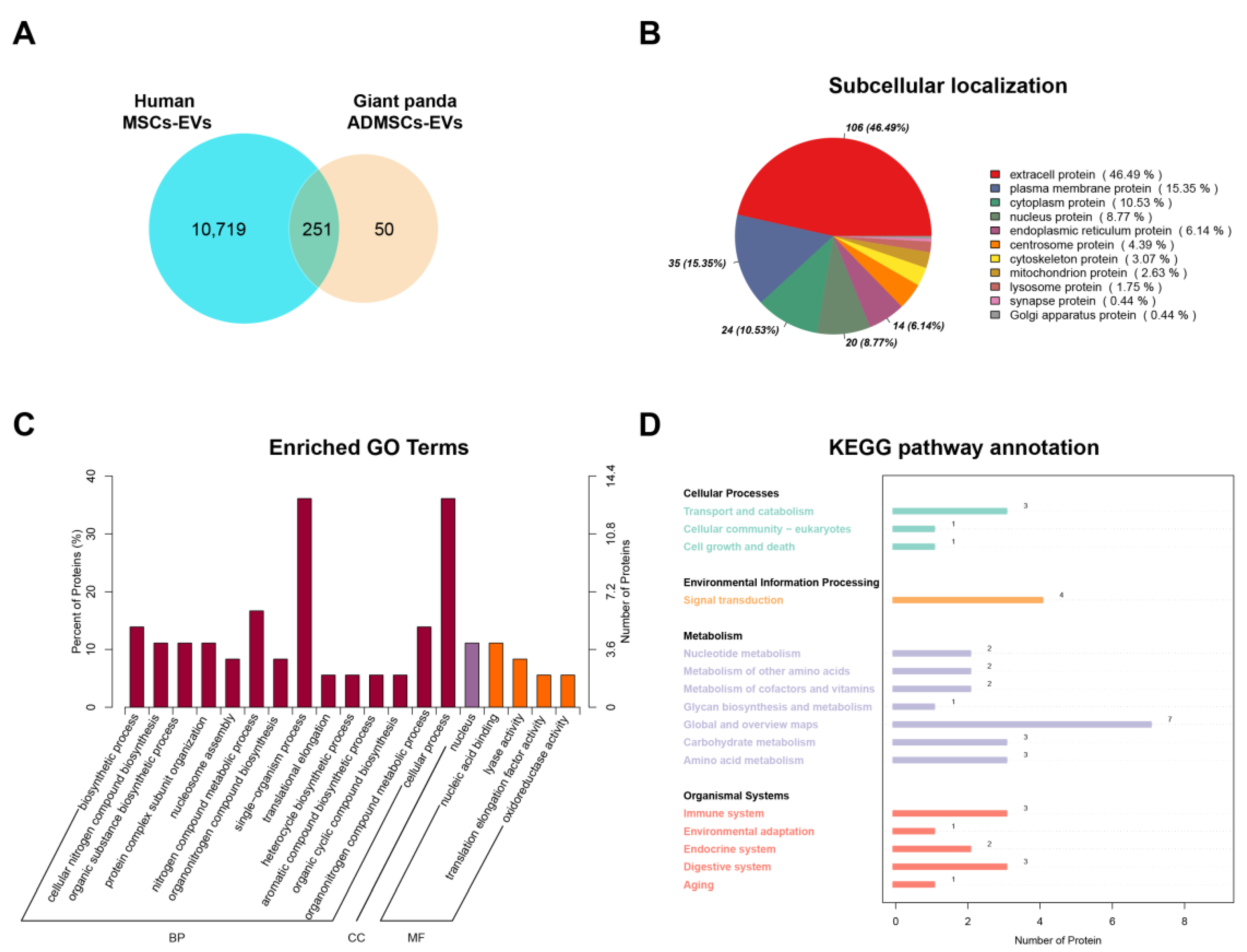 Animals 15 01270 g003