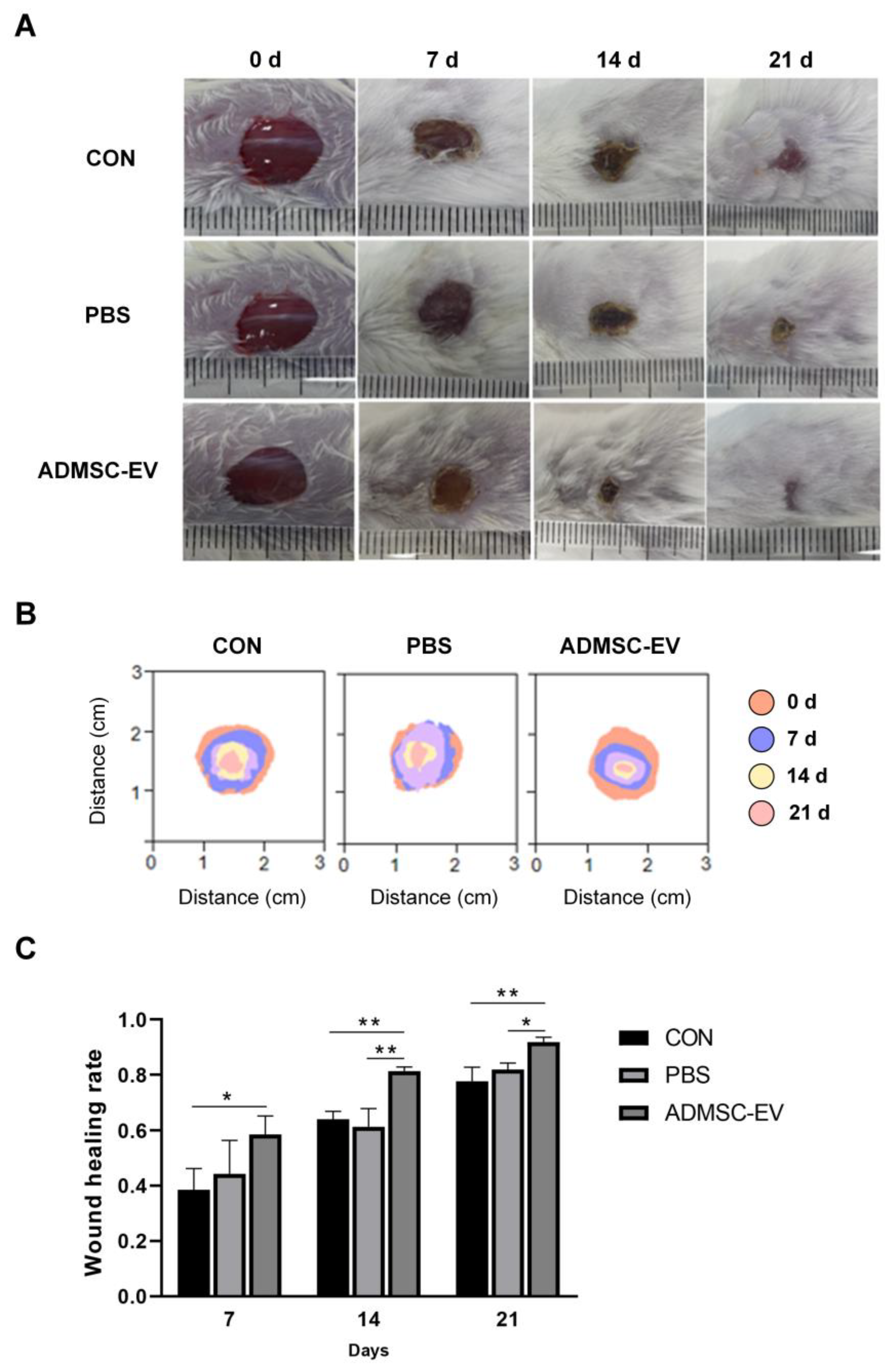 Animals 15 01270 g006