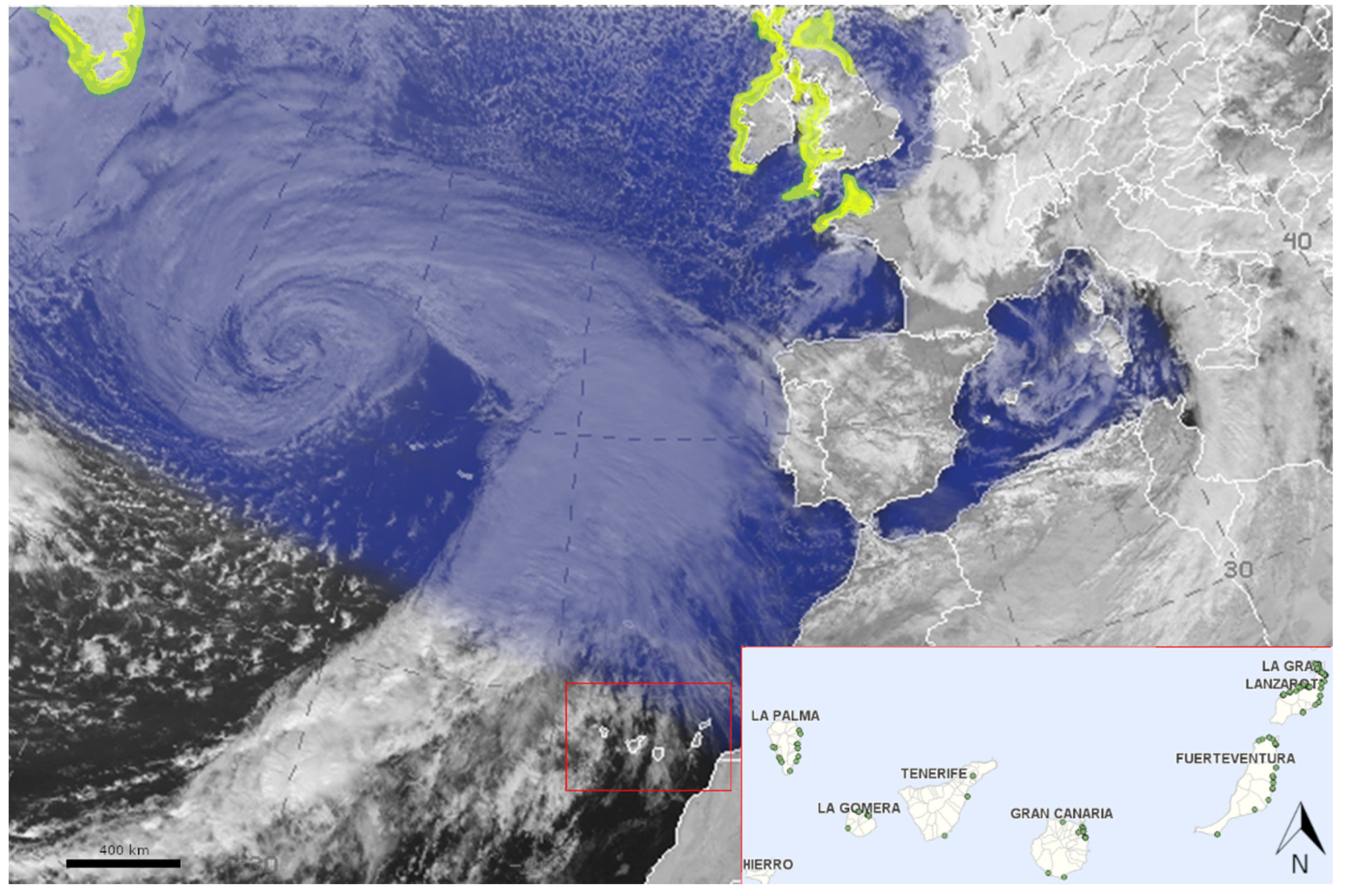 Animals 15 01281 g001