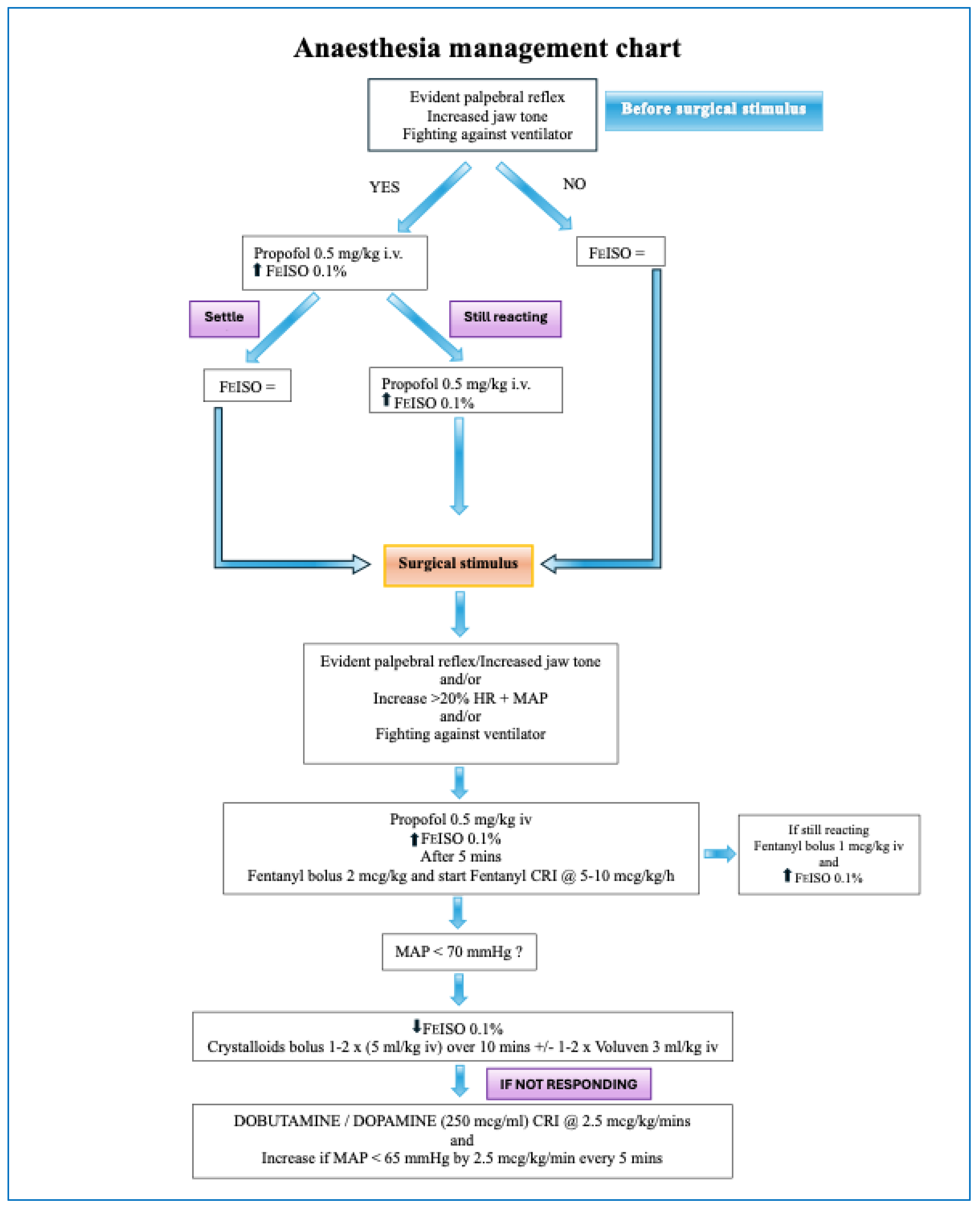 Animals 15 01323 g0a1 Animals 15 01323 g0a1