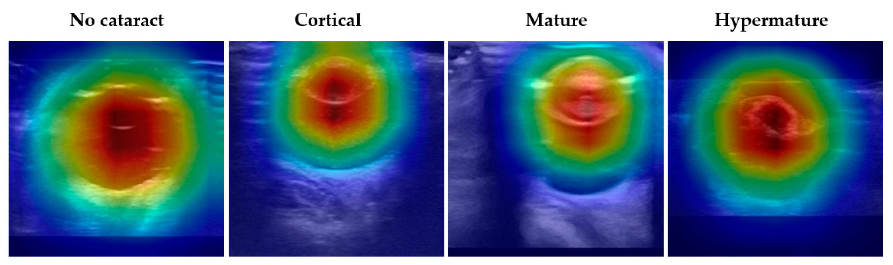 Animals 15 01327 g004