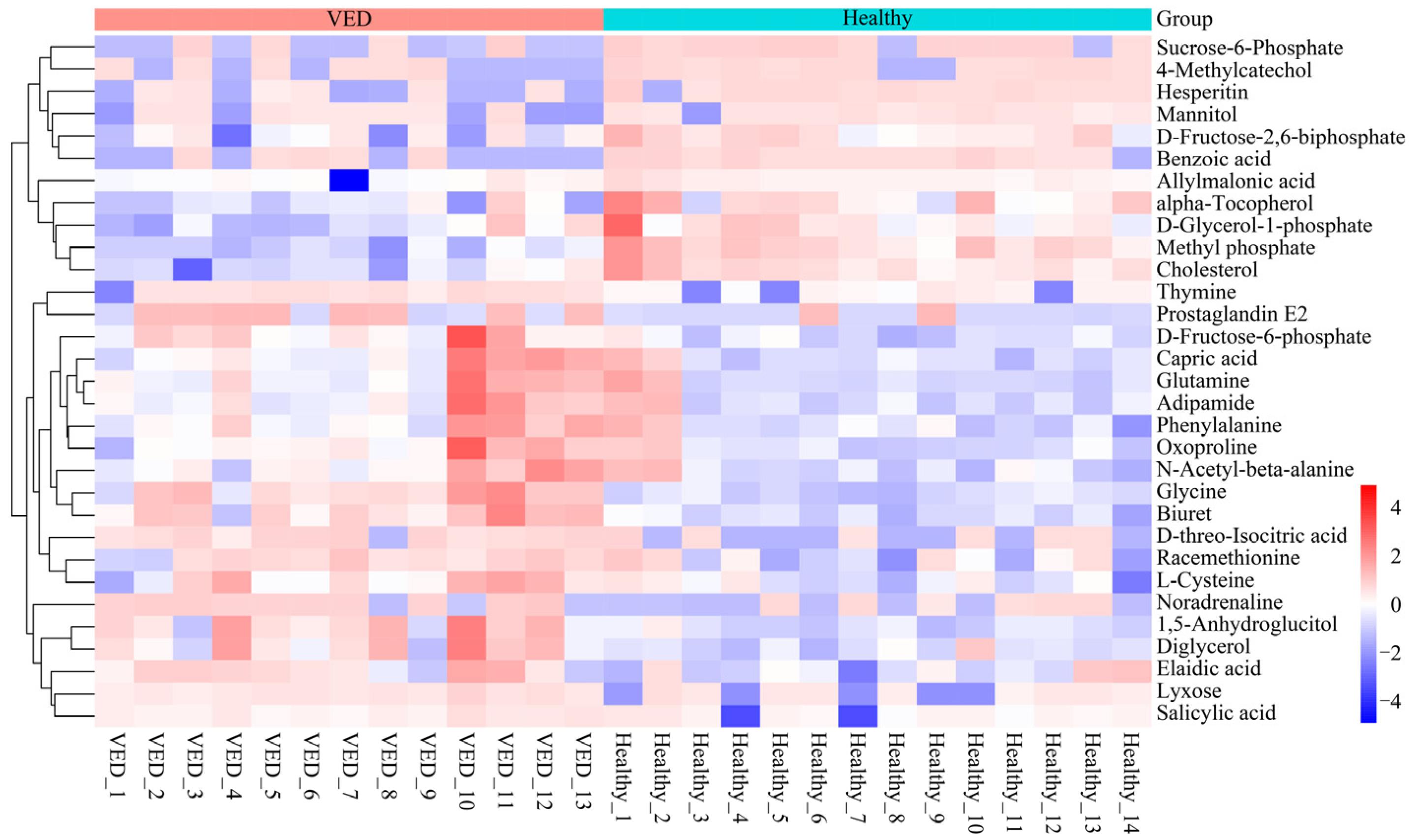 Animals 15 01333 g002
