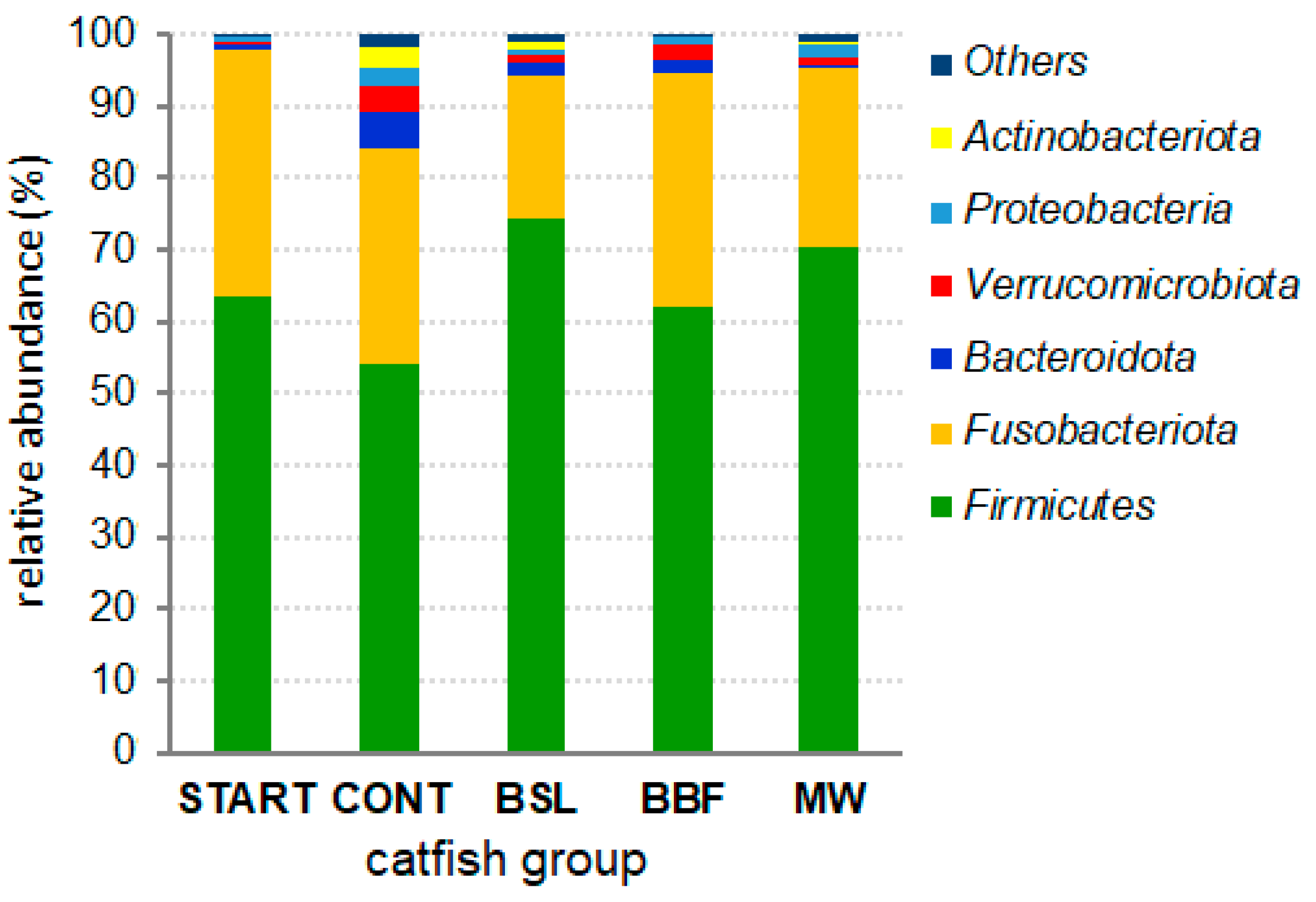Animals 15 01338 g001