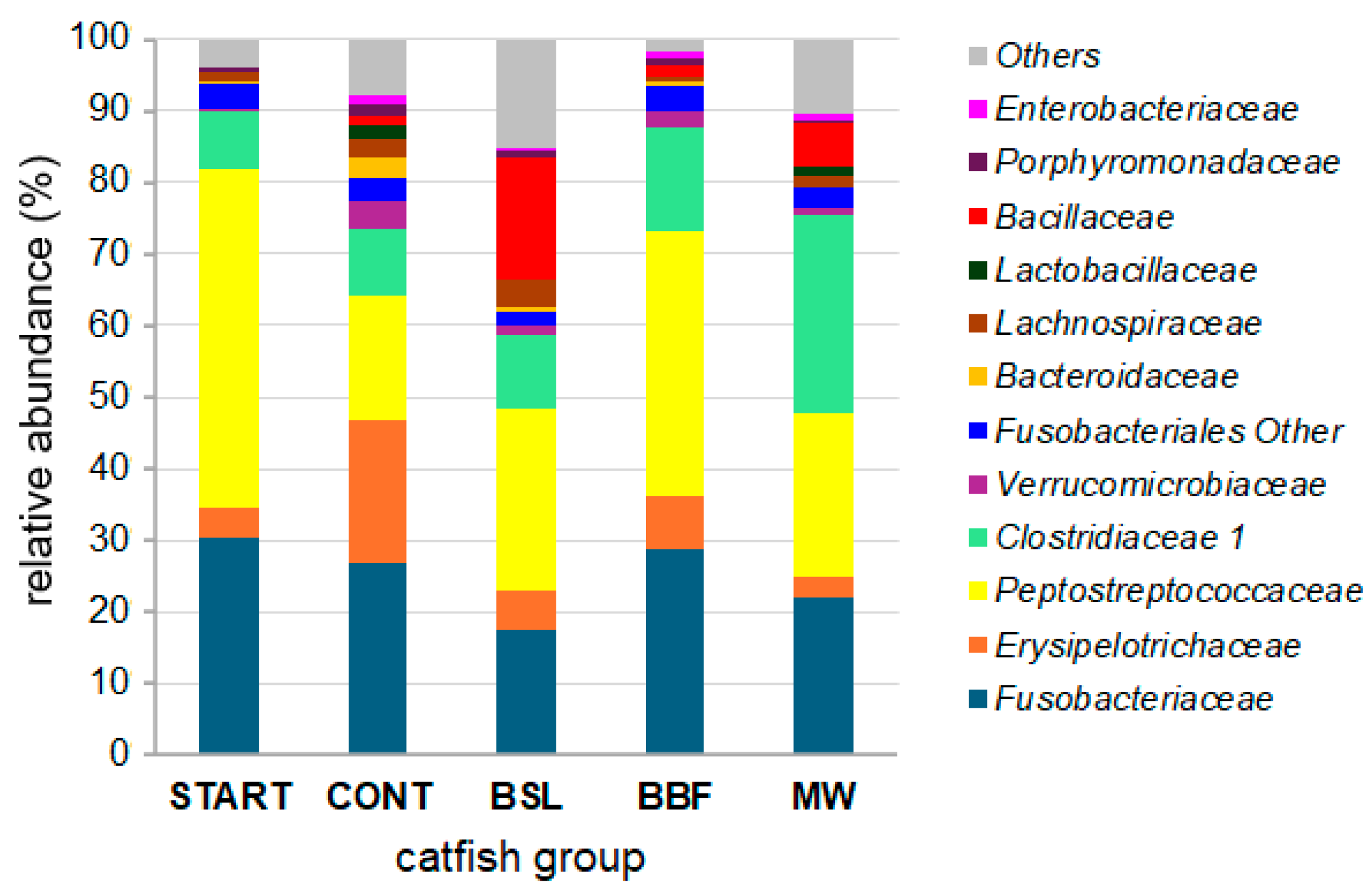 Animals 15 01338 g002
