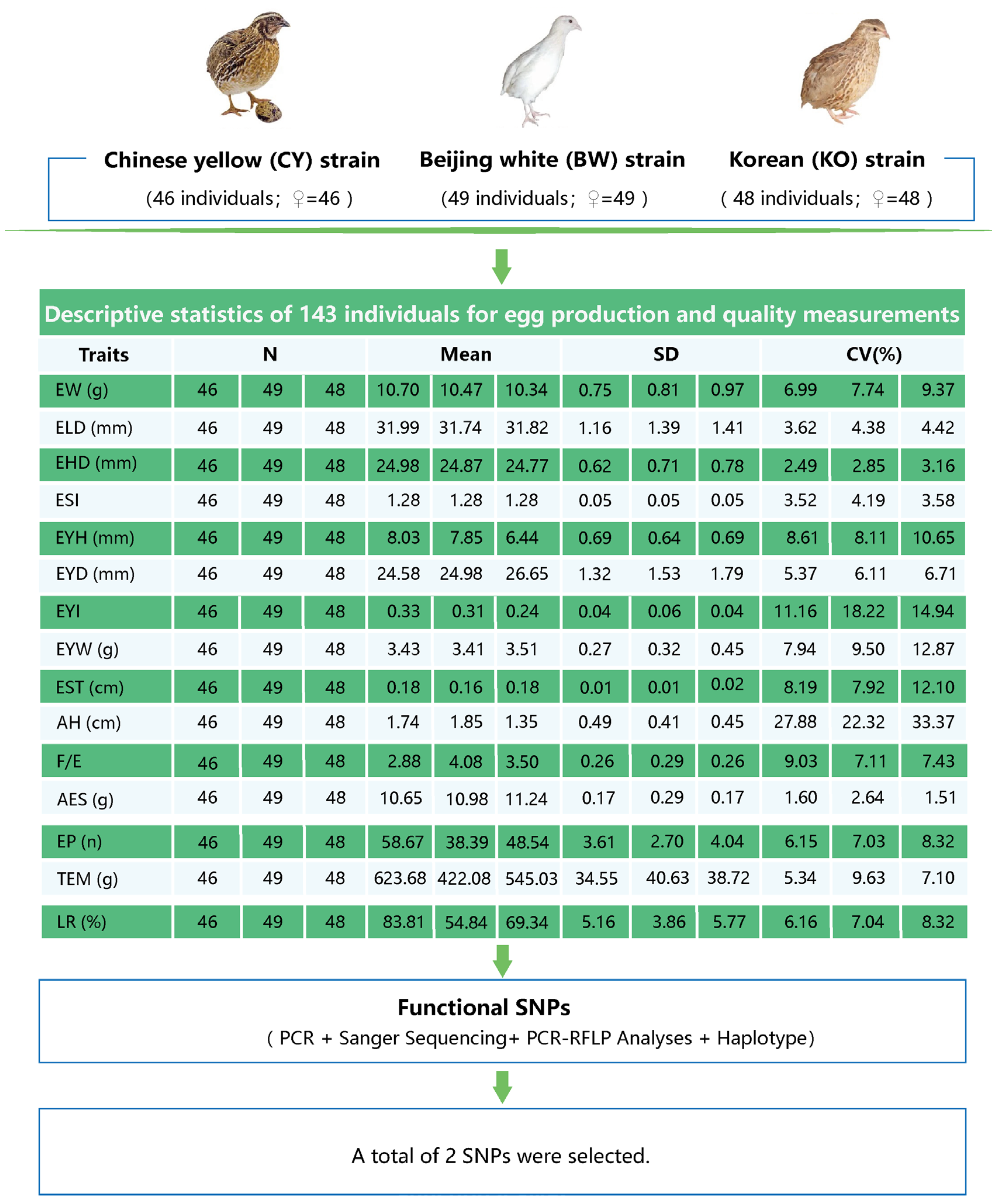 Animals 15 01373 g001
