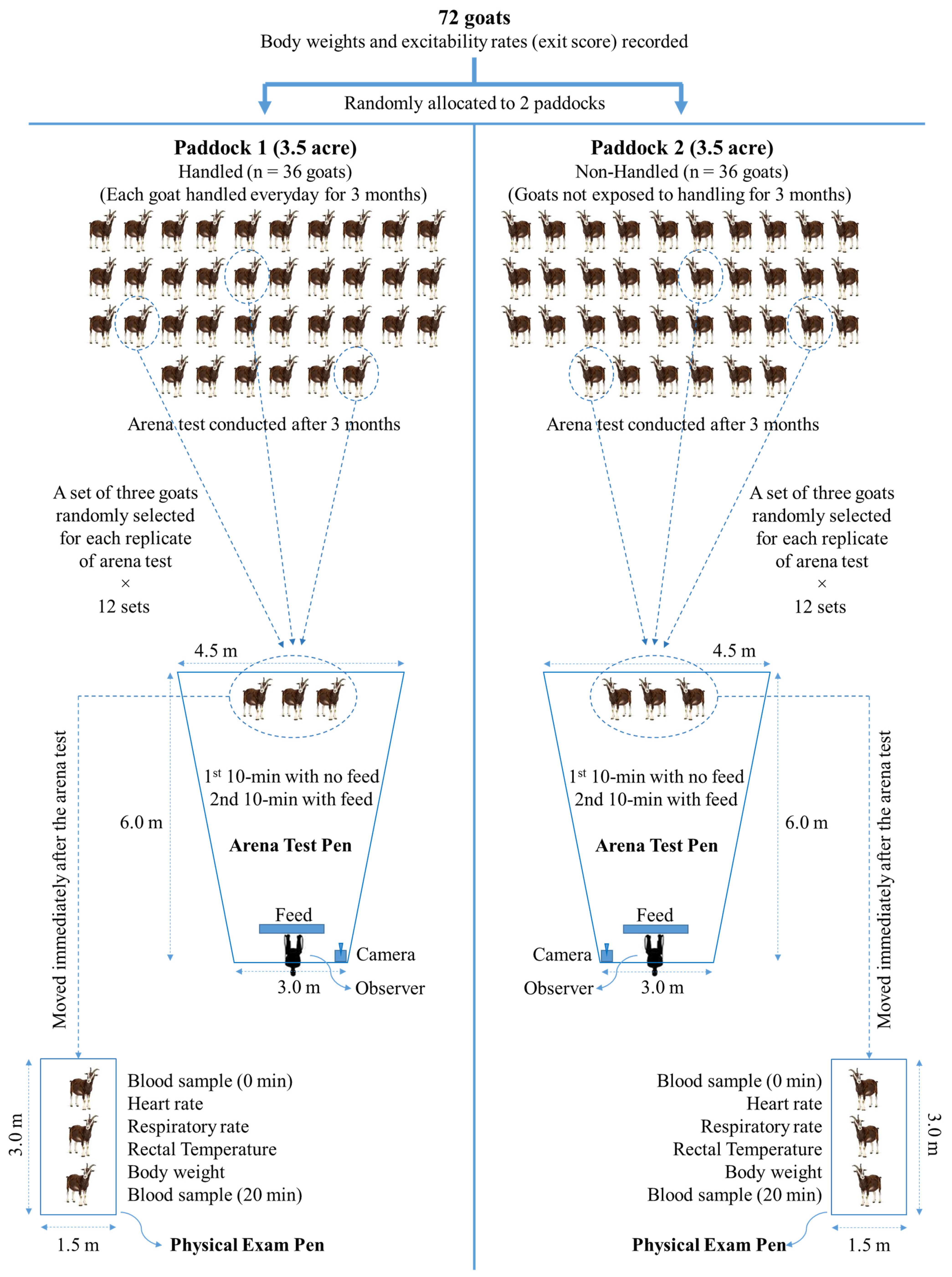 Animals 15 01385 g001