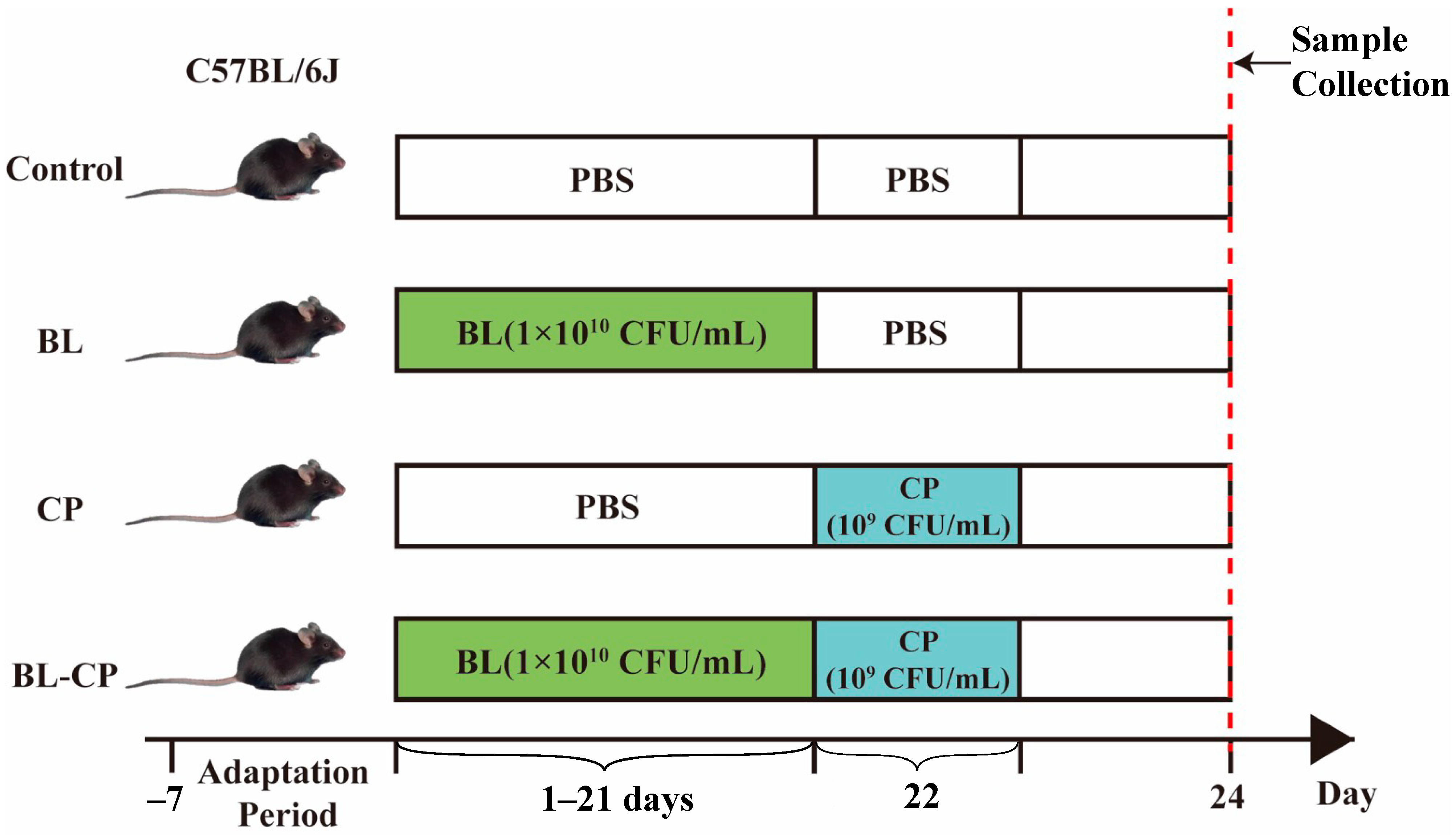 Animals 15 01409 g001