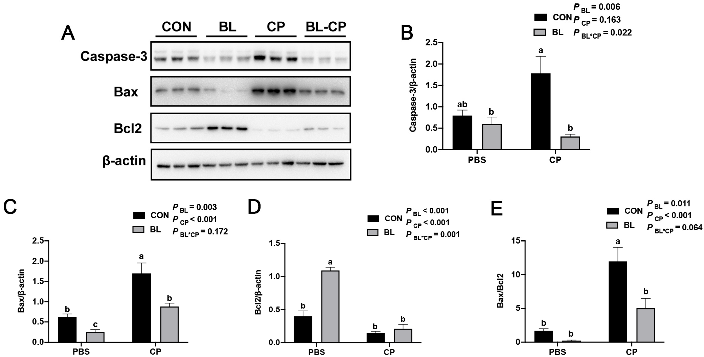 Animals 15 01409 g006