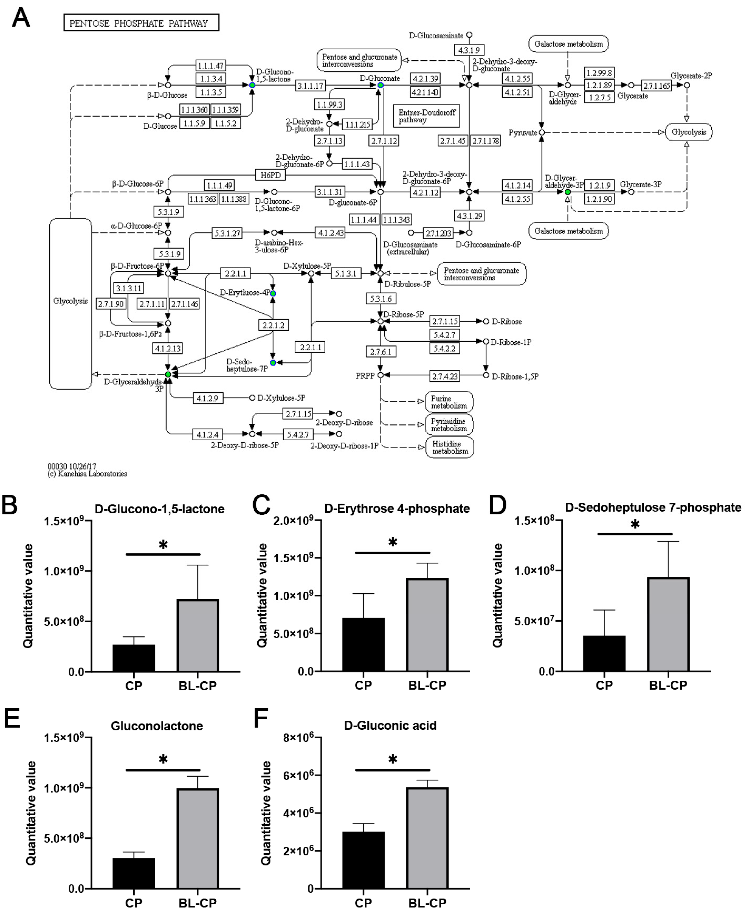 Animals 15 01409 g011