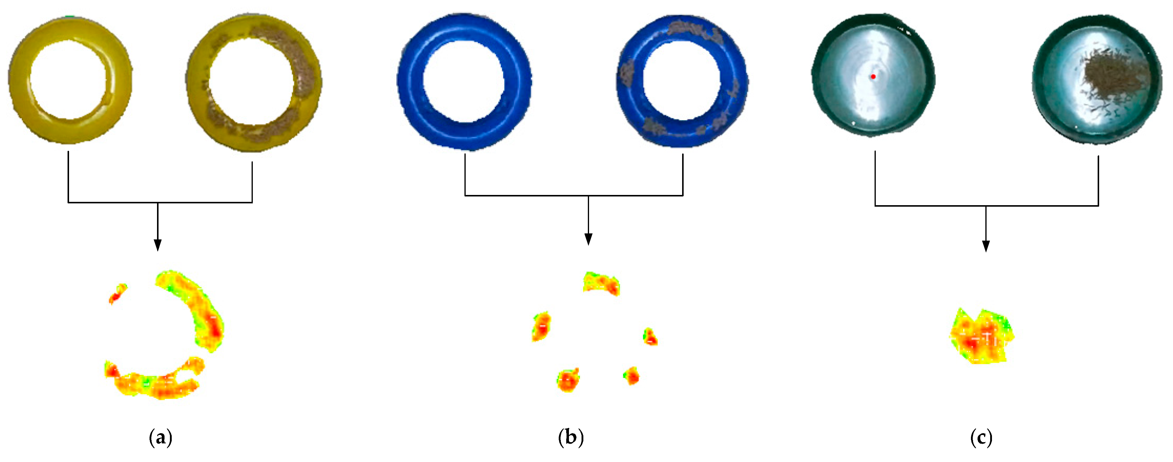 Animals 15 01440 g003