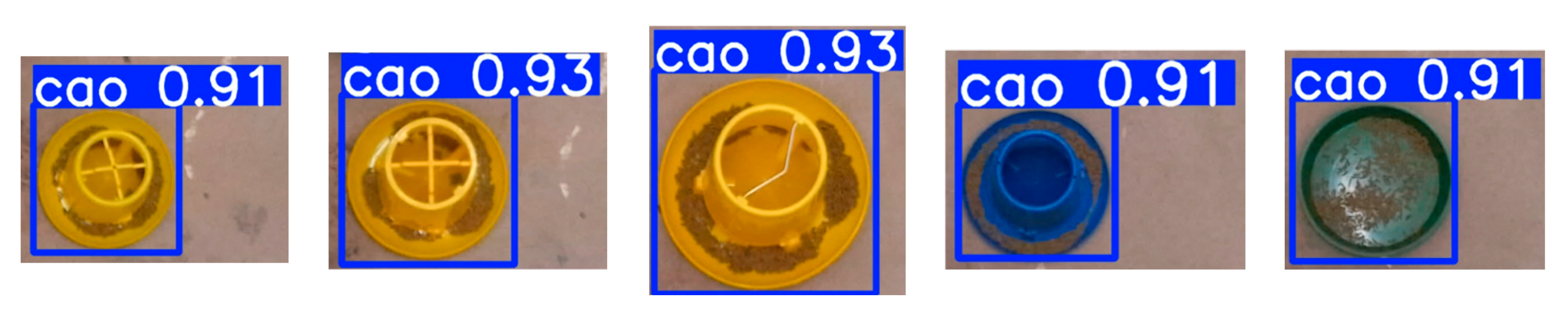 Animals 15 01440 g005