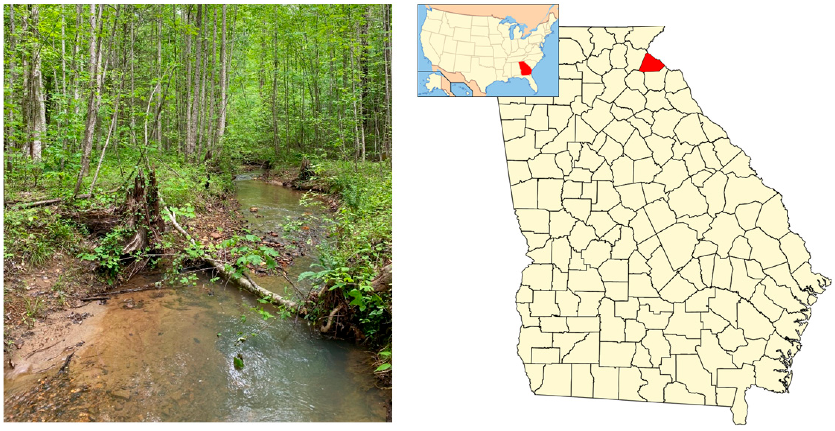 Animals 15 01479 g001