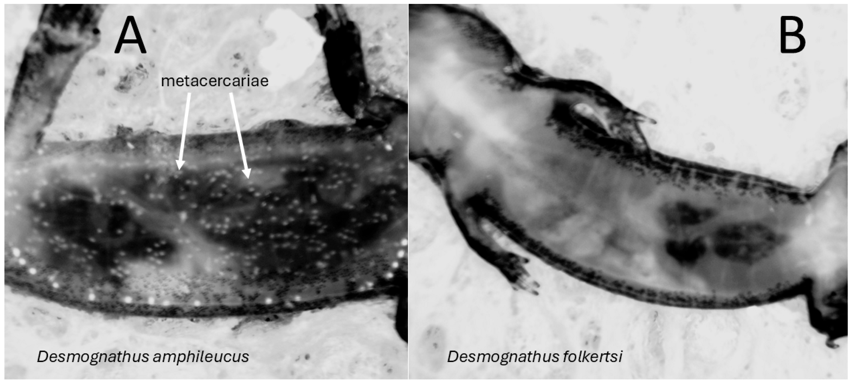 Animals 15 01479 g002