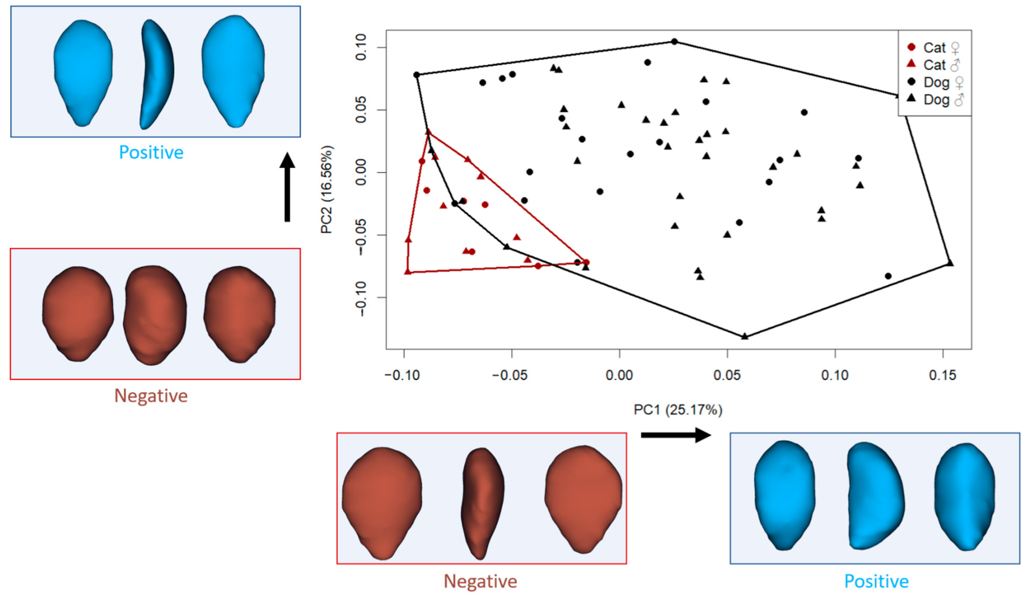 Animals 15 01608 g002
