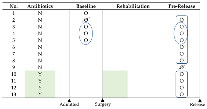 Animals 15 01643 i001
