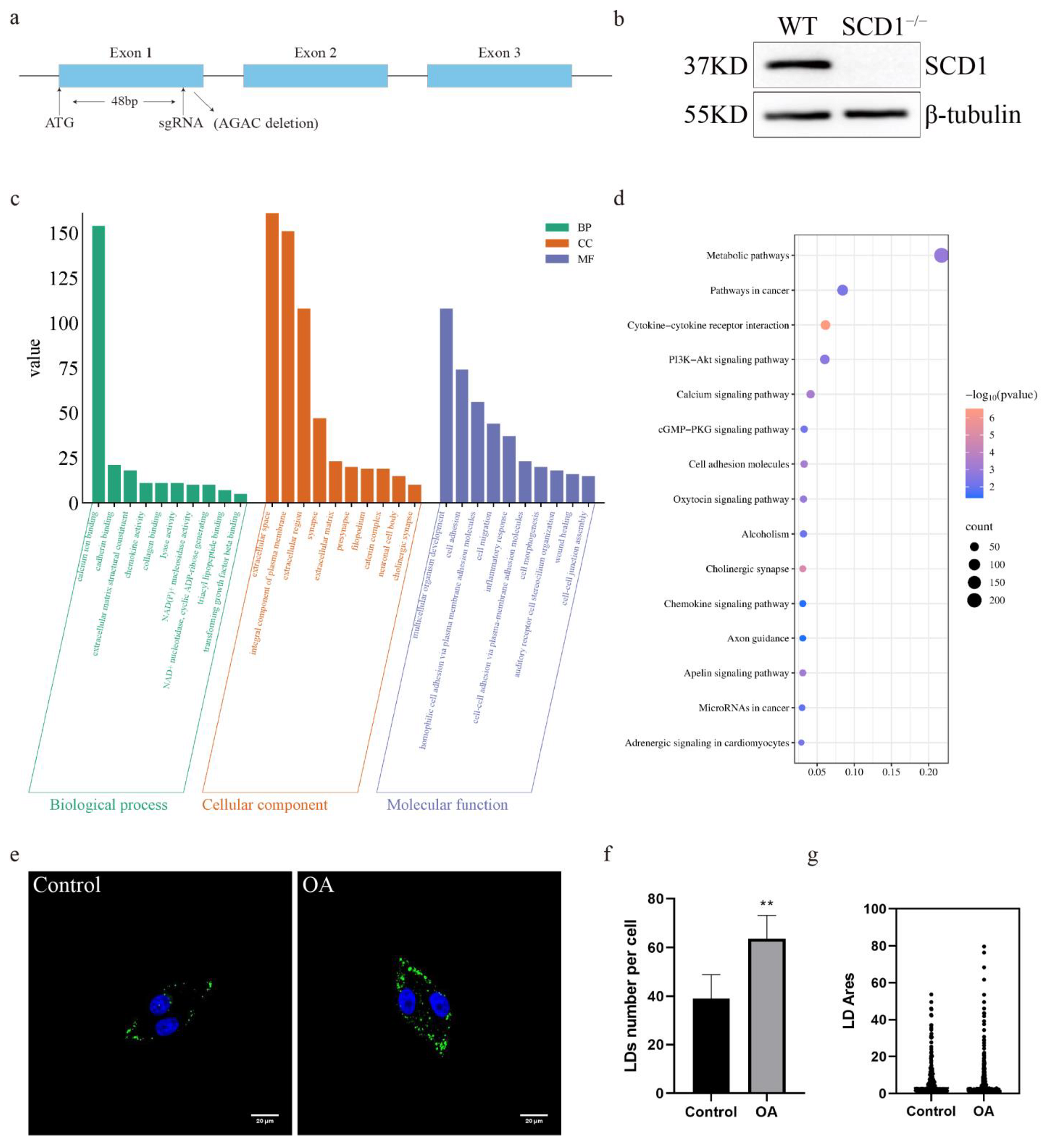 Animals 15 01663 g001