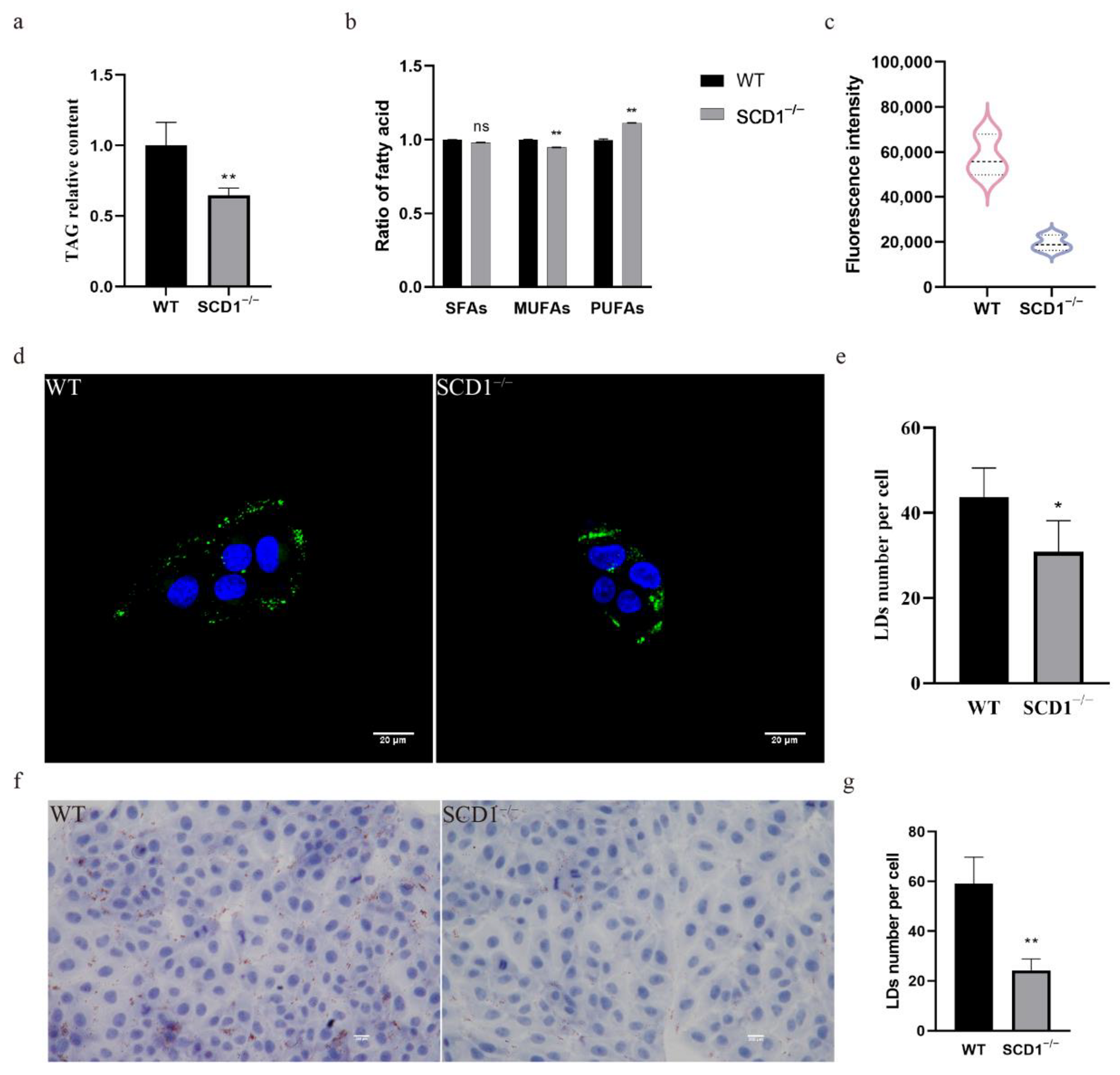 Animals 15 01663 g002