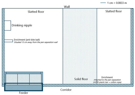 Animals 15 01749 g001