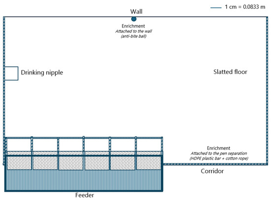 Animals 15 01749 g002