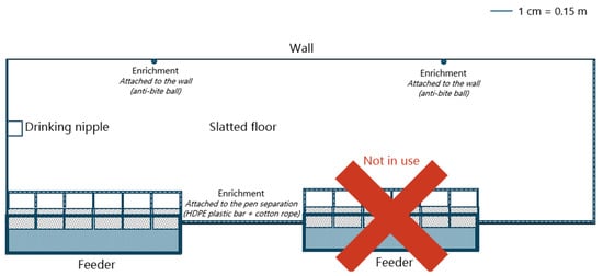 Animals 15 01749 g003