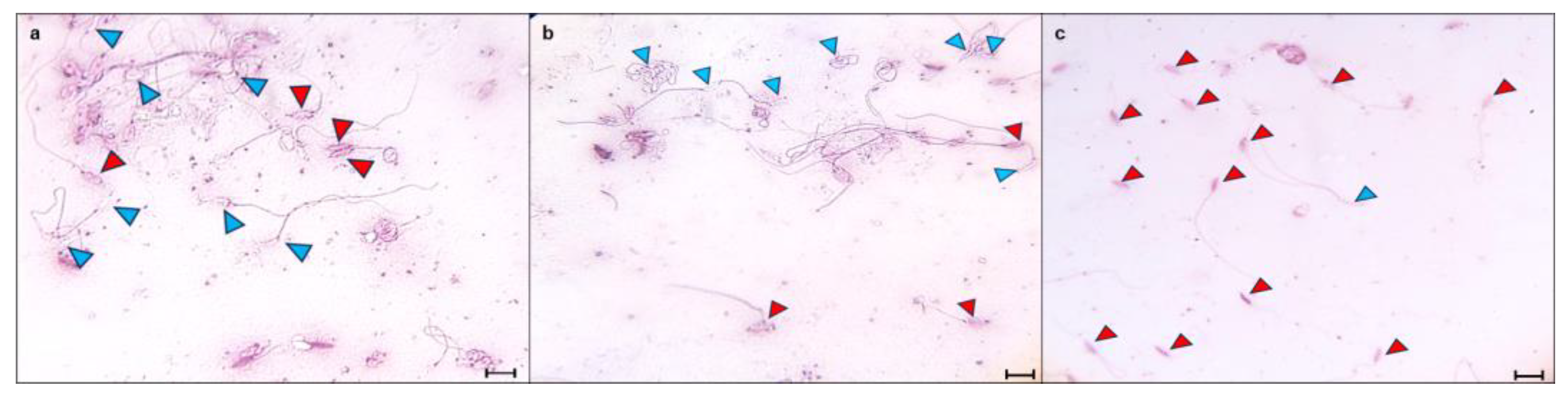 Animals 15 01784 g006 Animals 15 01784 g006