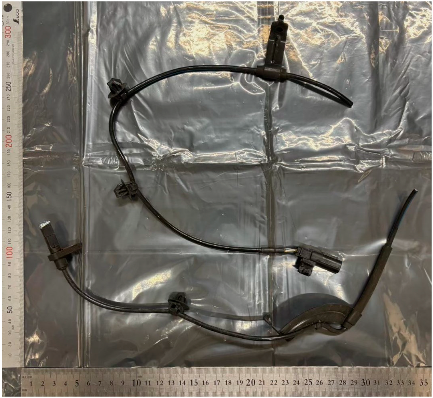 Animals 15 01795 g001