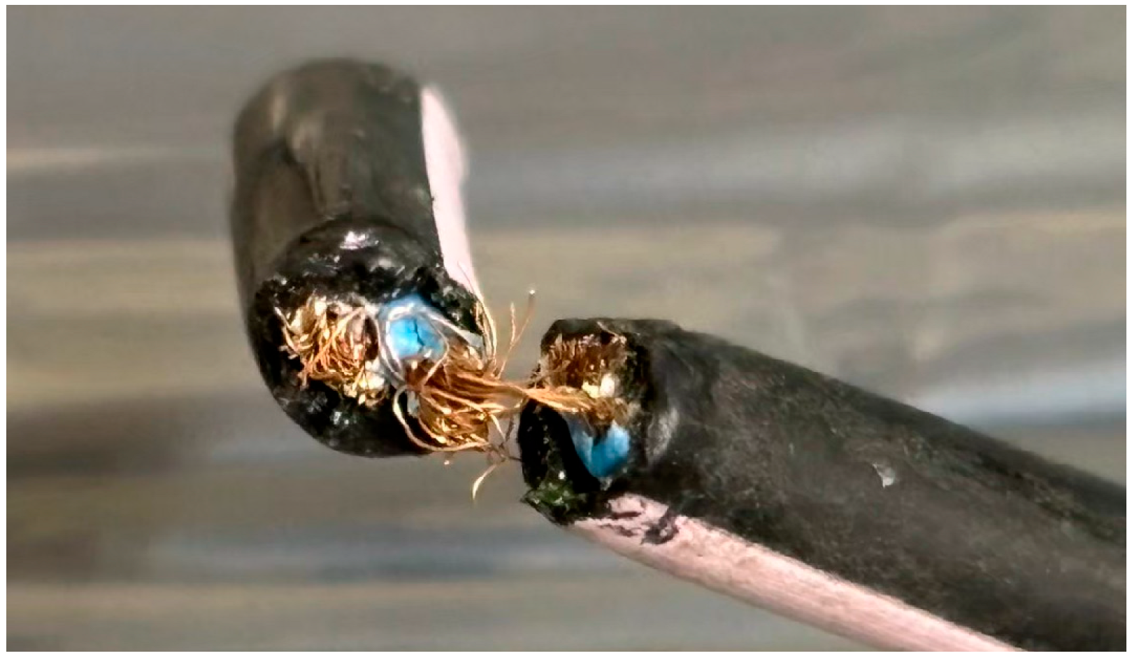 Animals 15 01795 g003