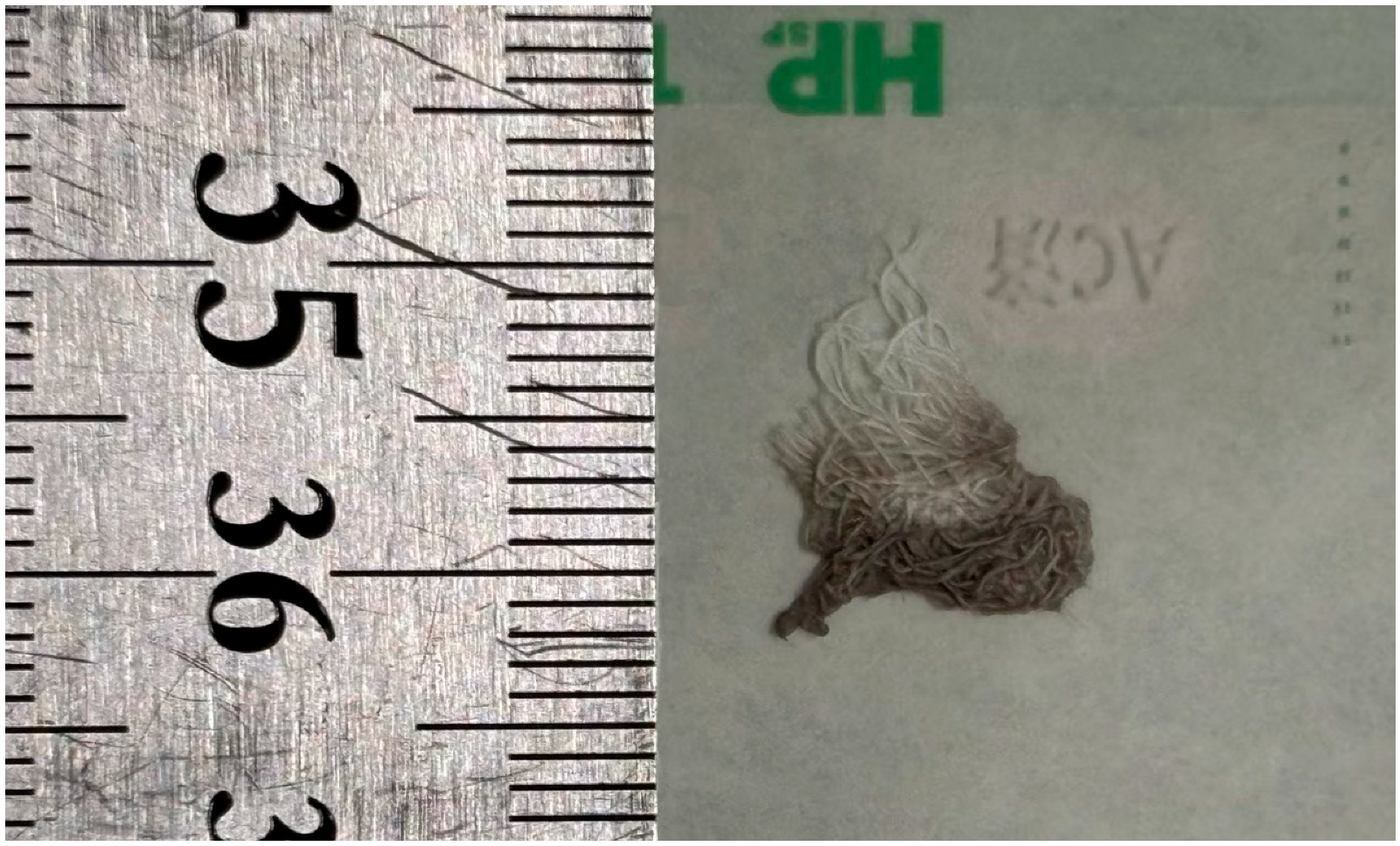 Animals 15 01795 g005