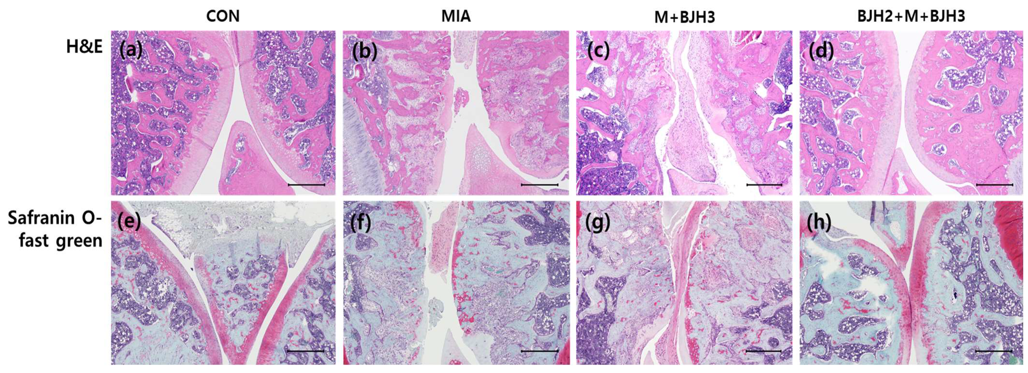 Animals 15 01825 g006