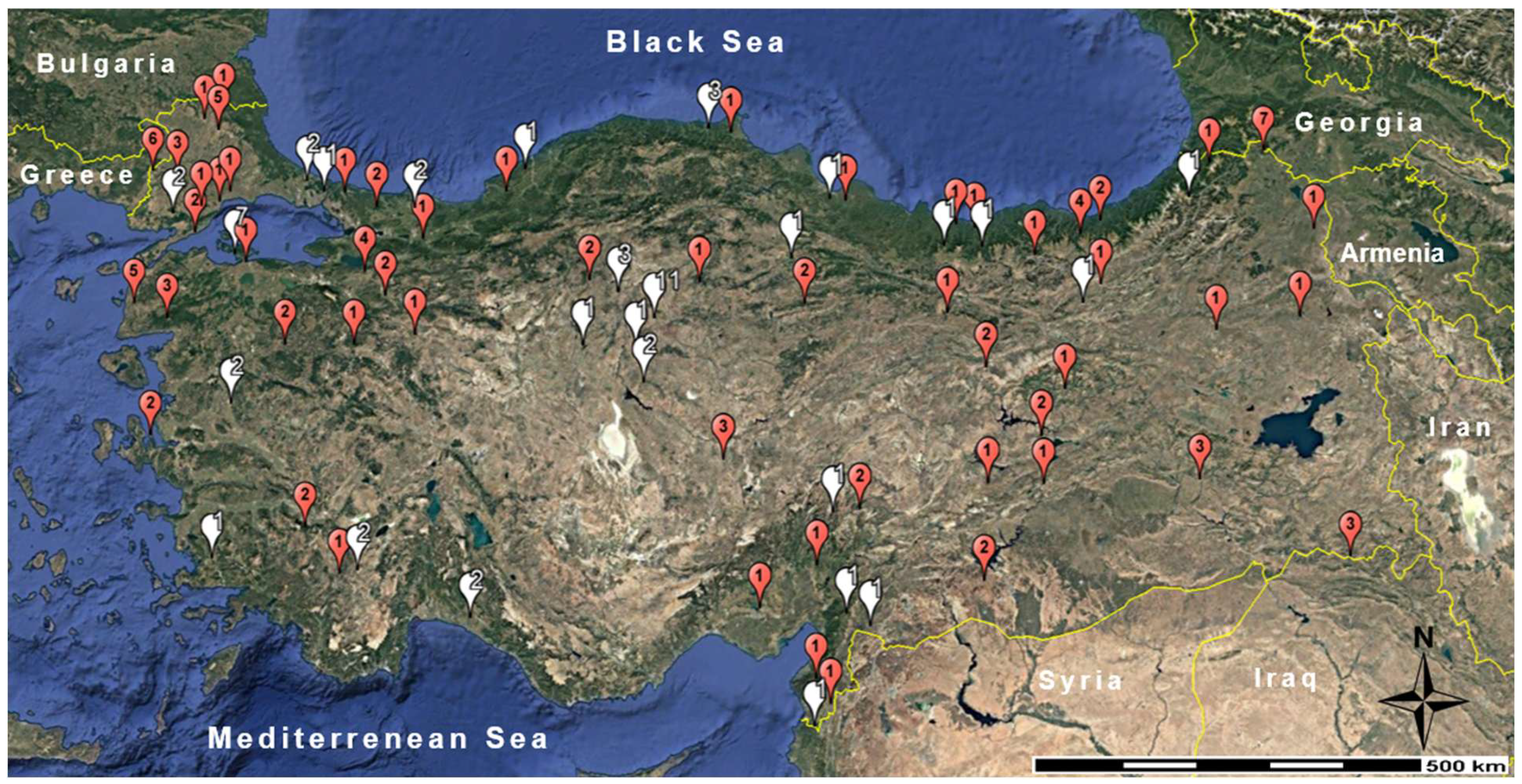 Animals 15 01828 g001