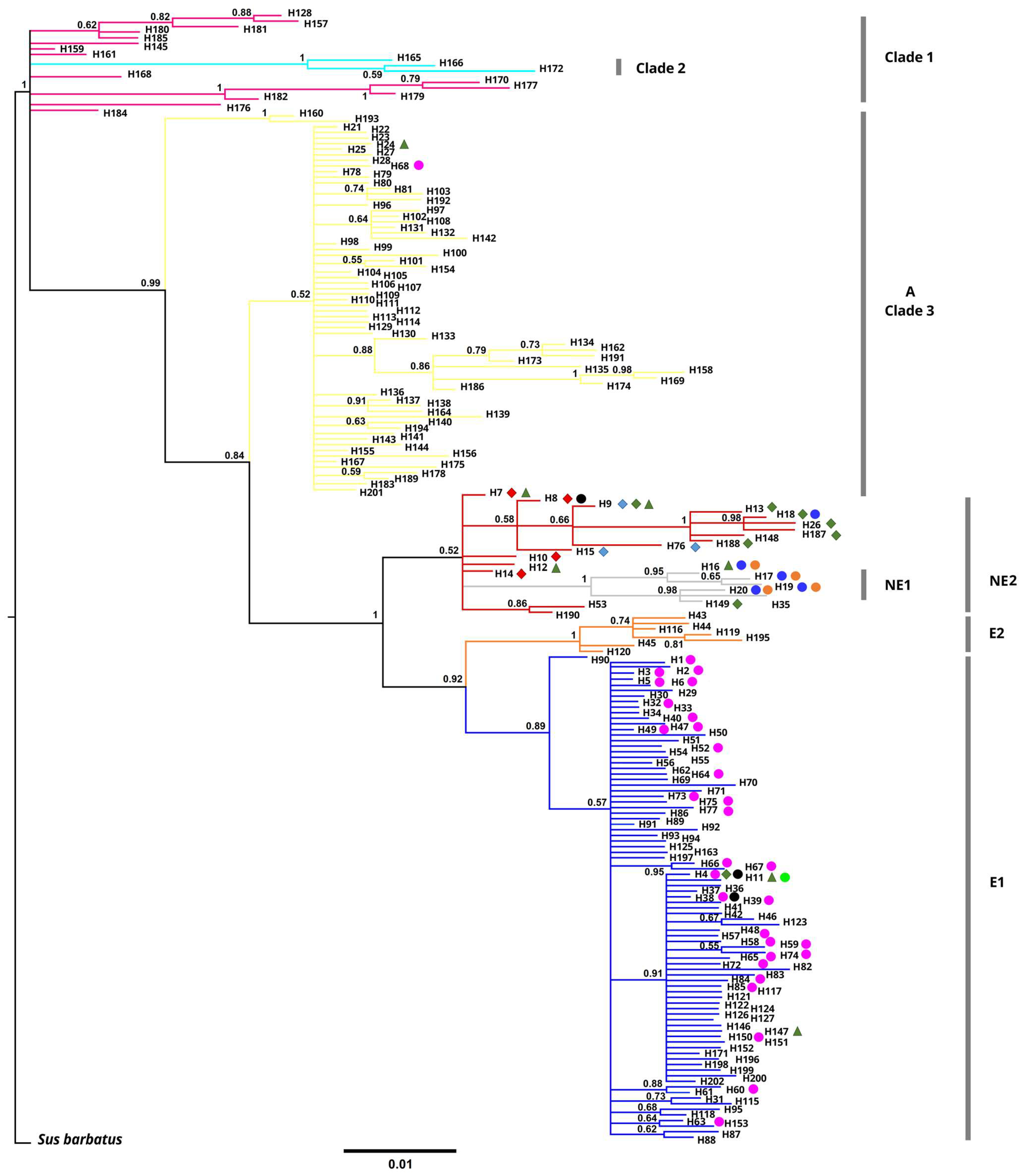 Animals 15 01828 g002