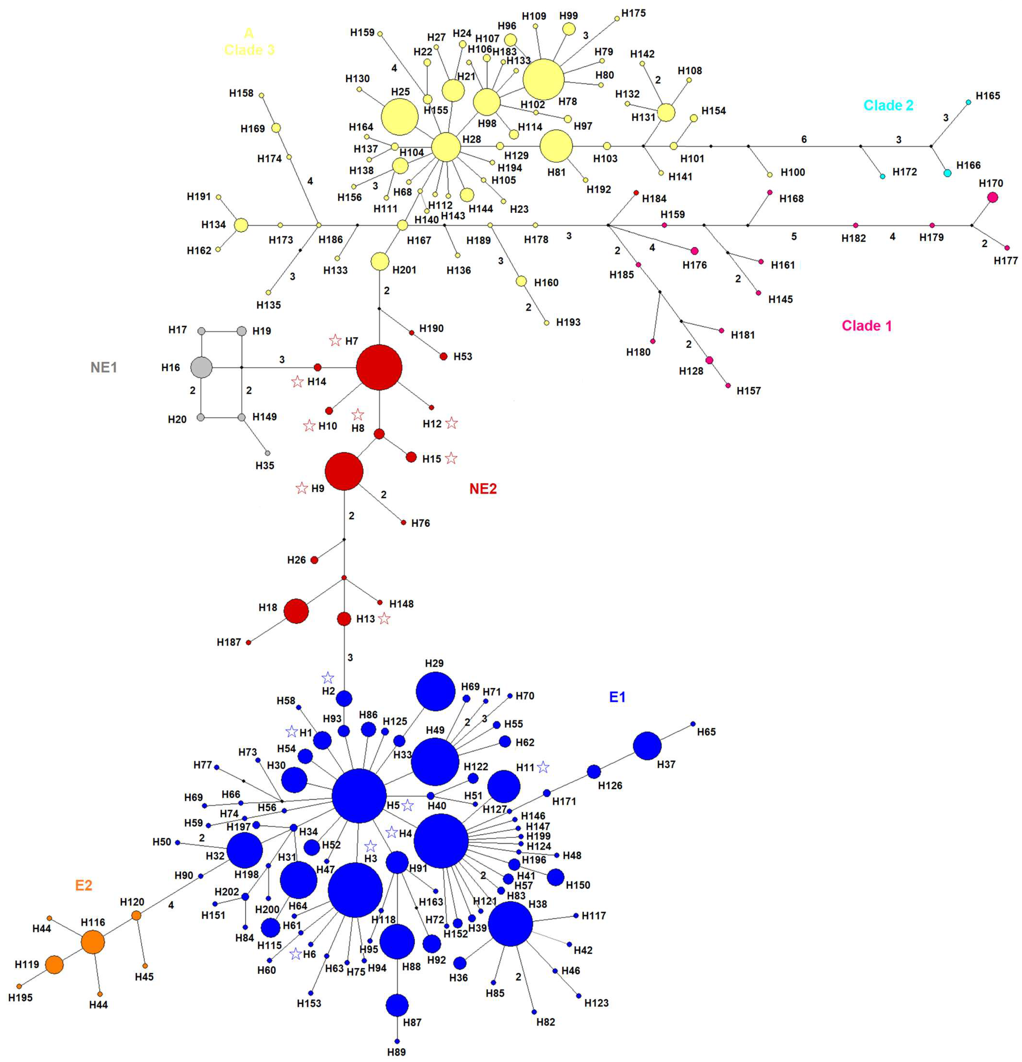 Animals 15 01828 g003