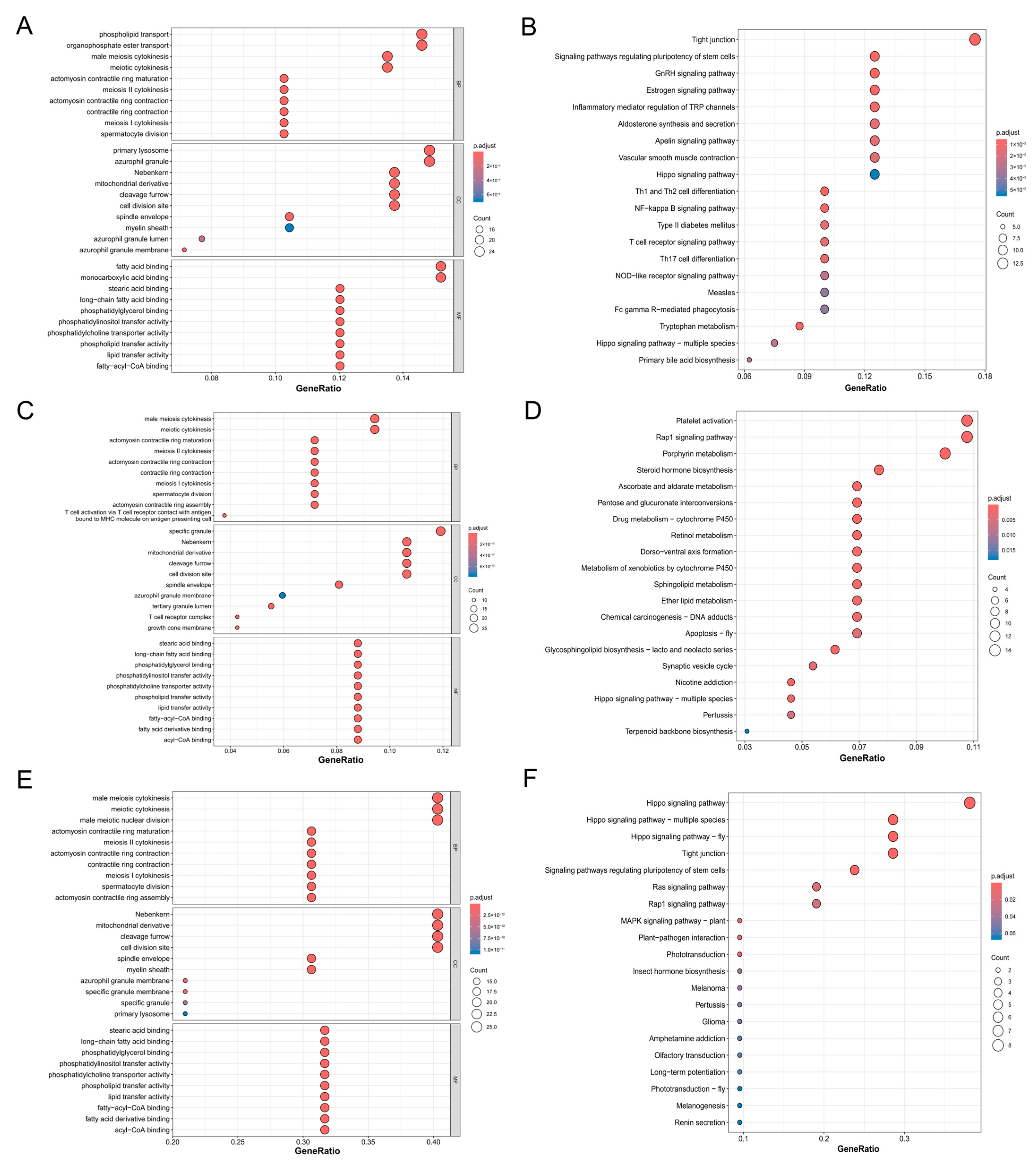 Animals 15 01829 g005