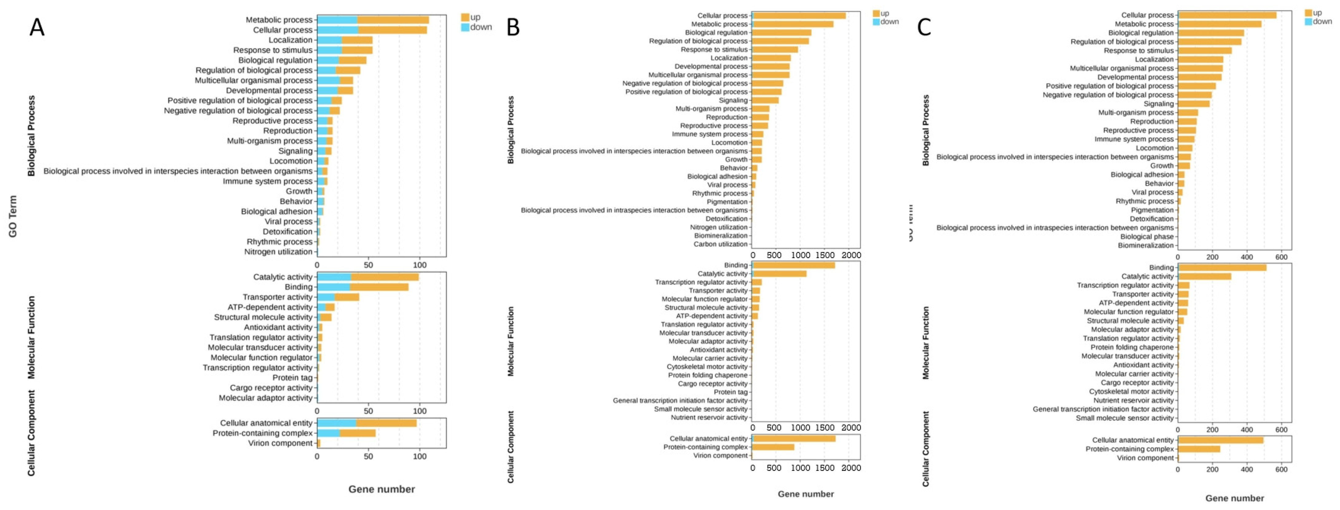 Animals 15 01837 g006