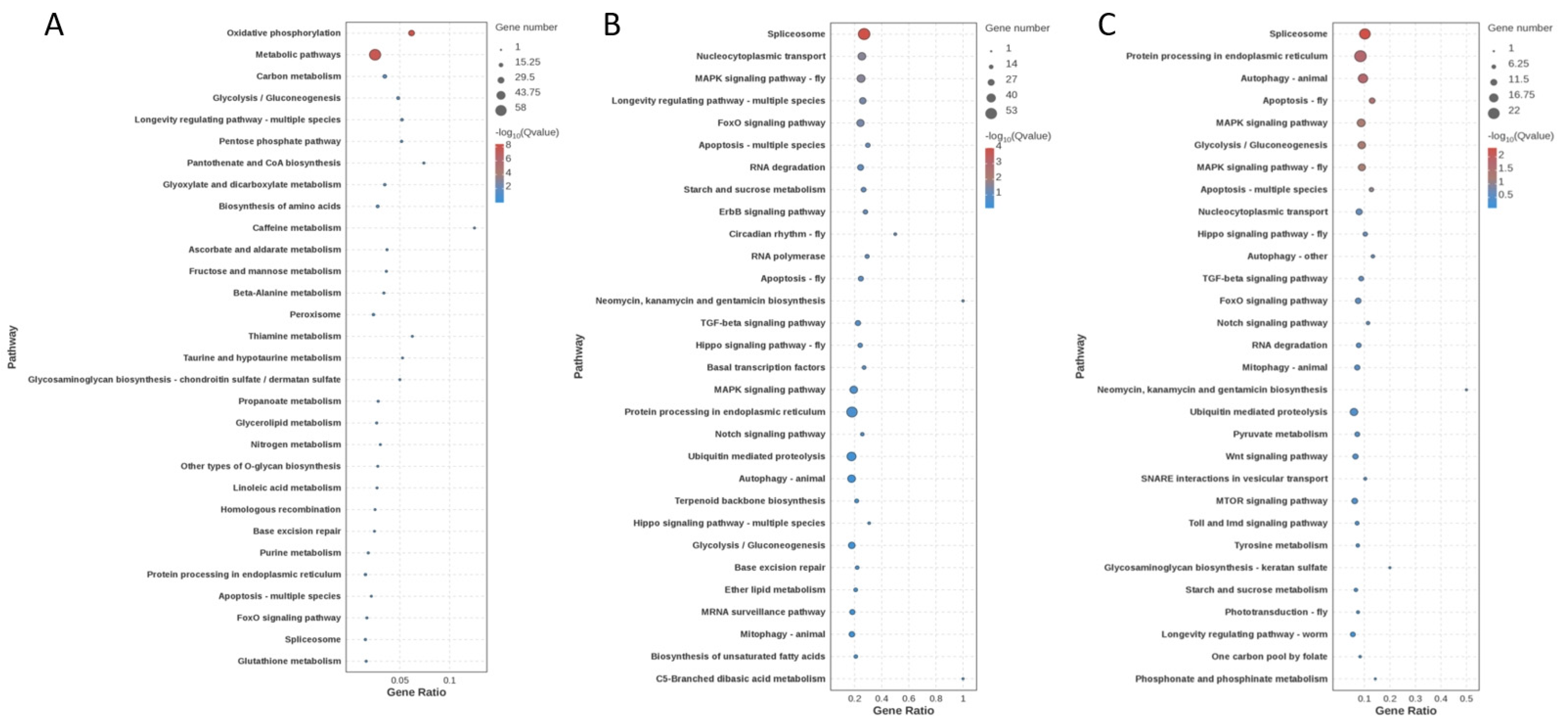 Animals 15 01837 g007