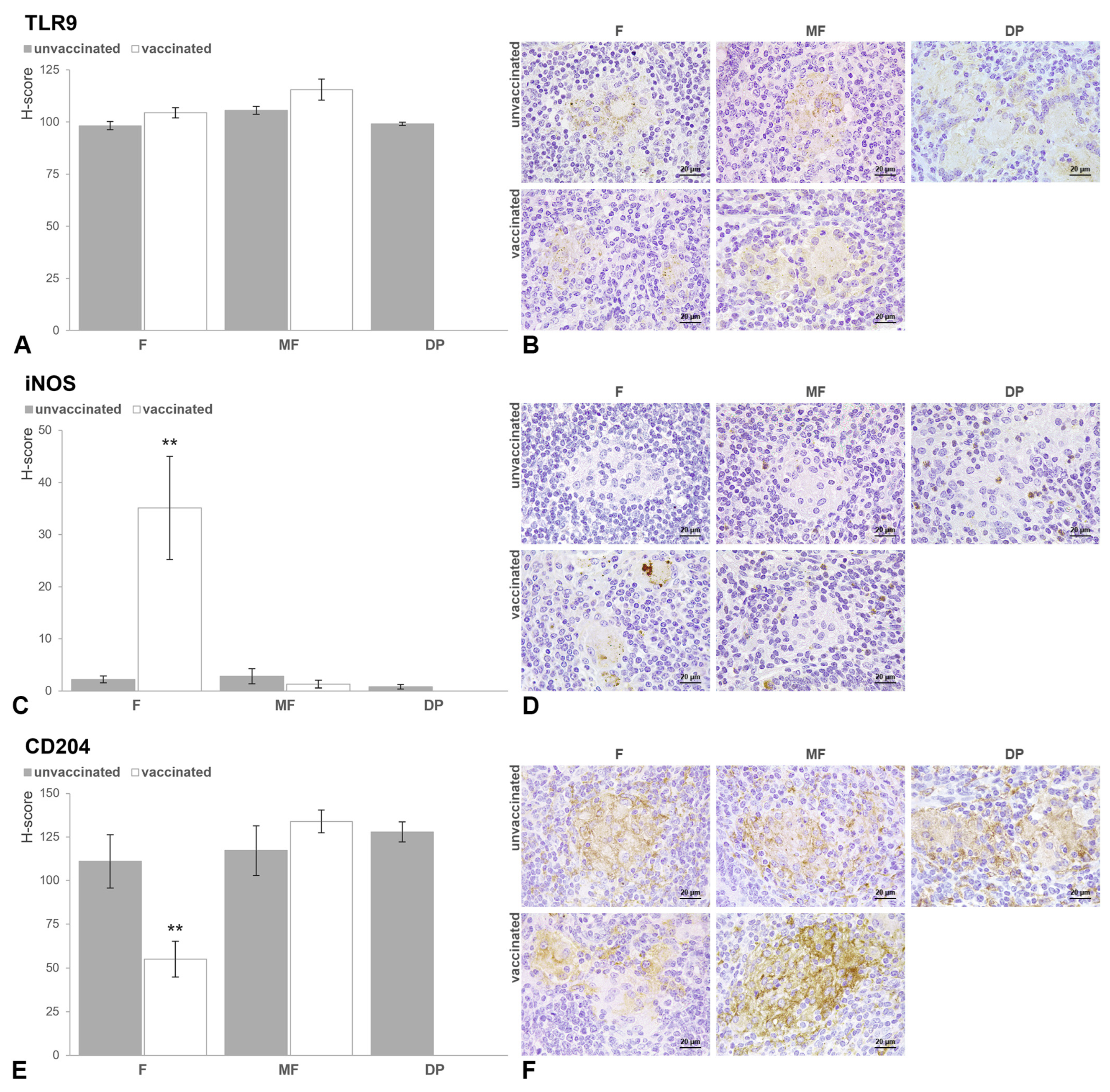 Animals 15 01841 g006