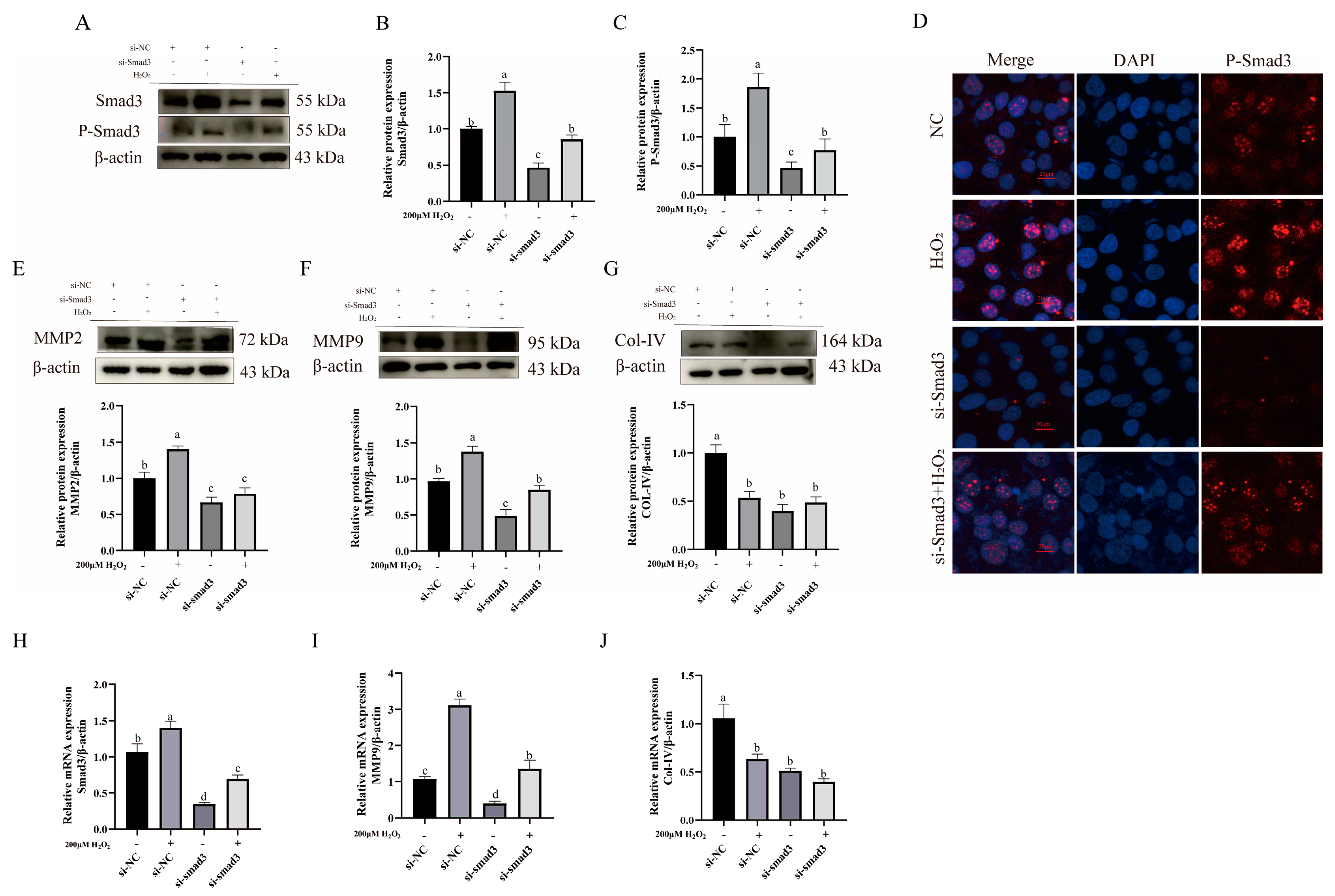 Animals 15 01847 g006