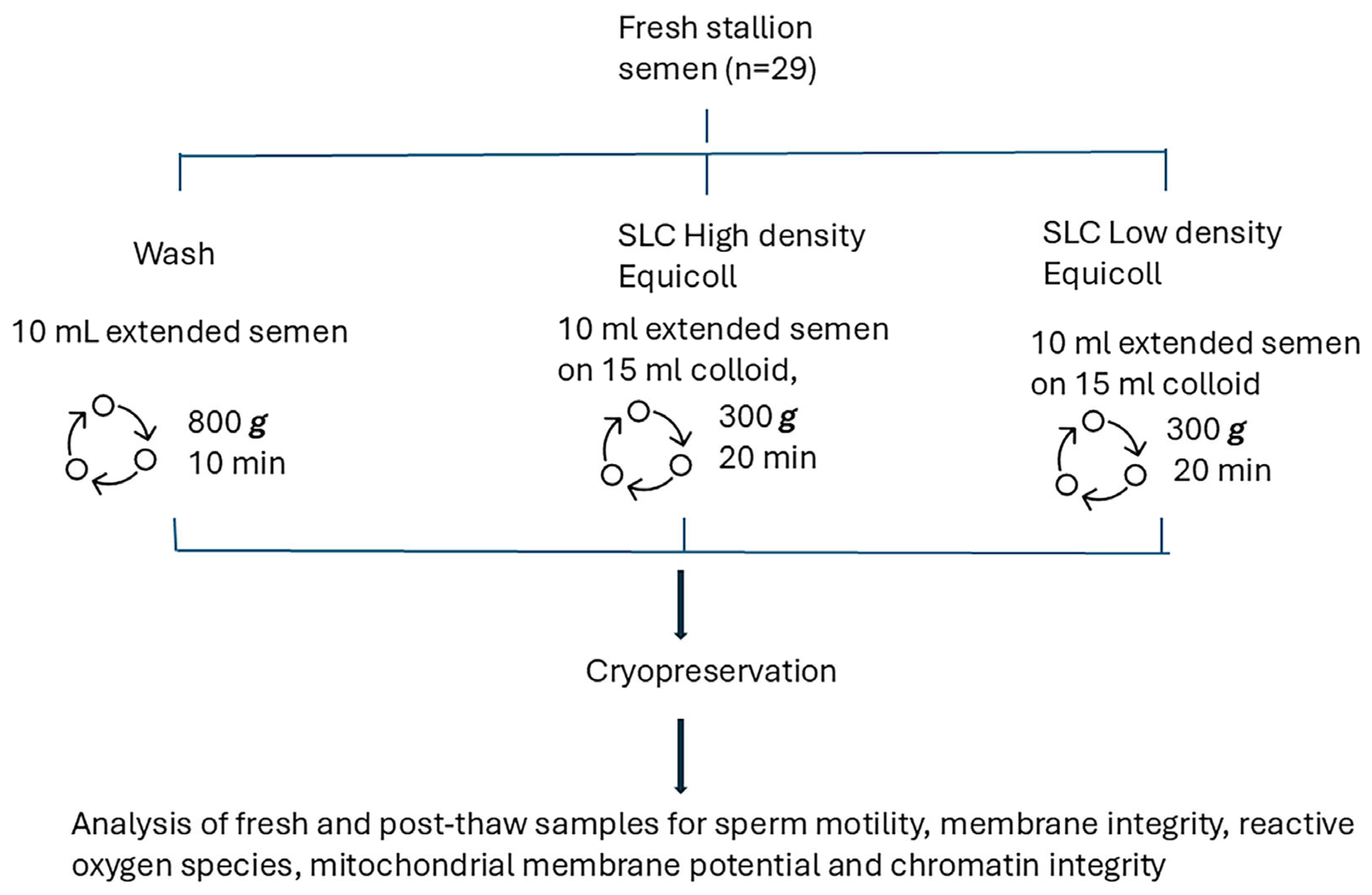 Animals 15 01881 g001