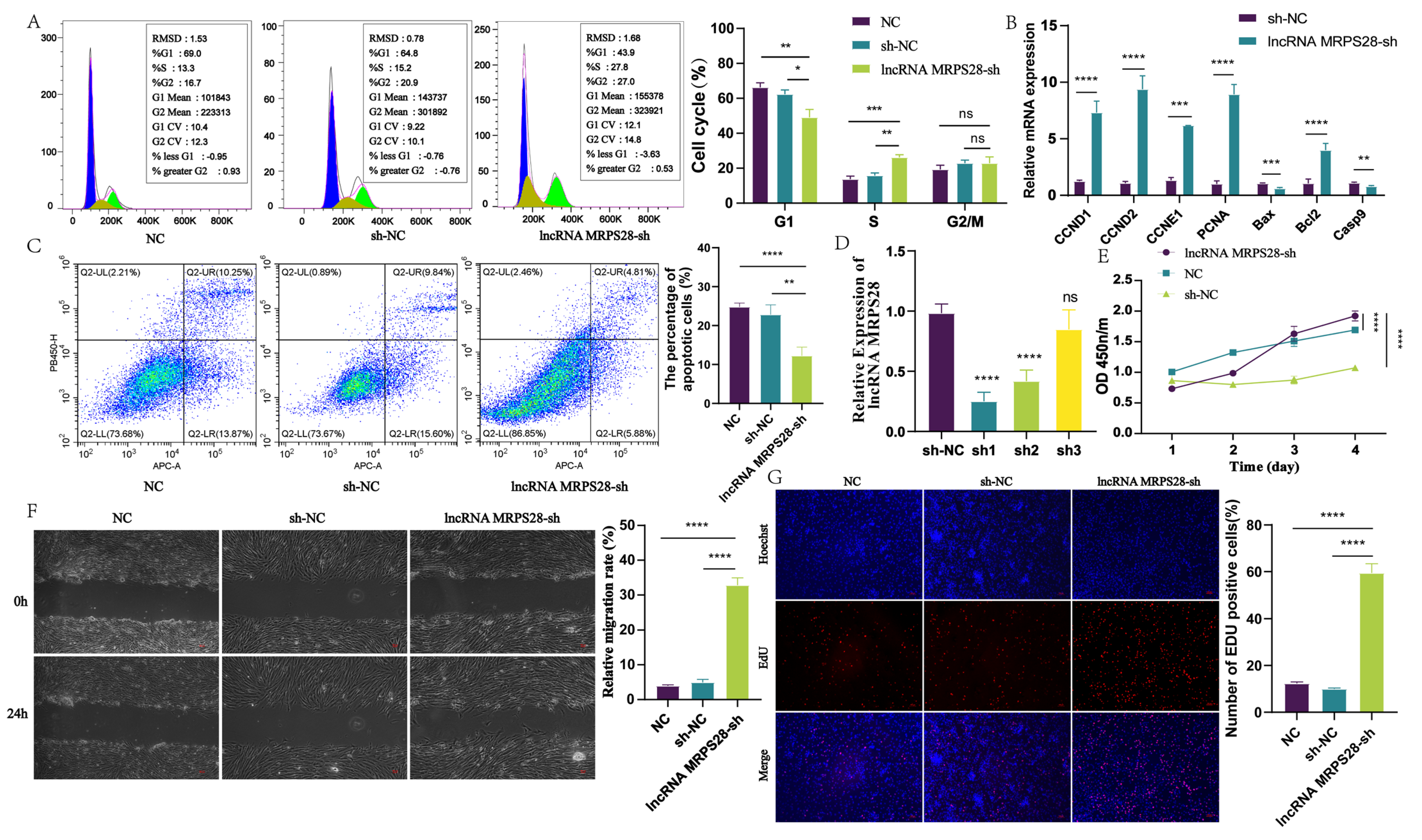 Animals 15 01882 g002