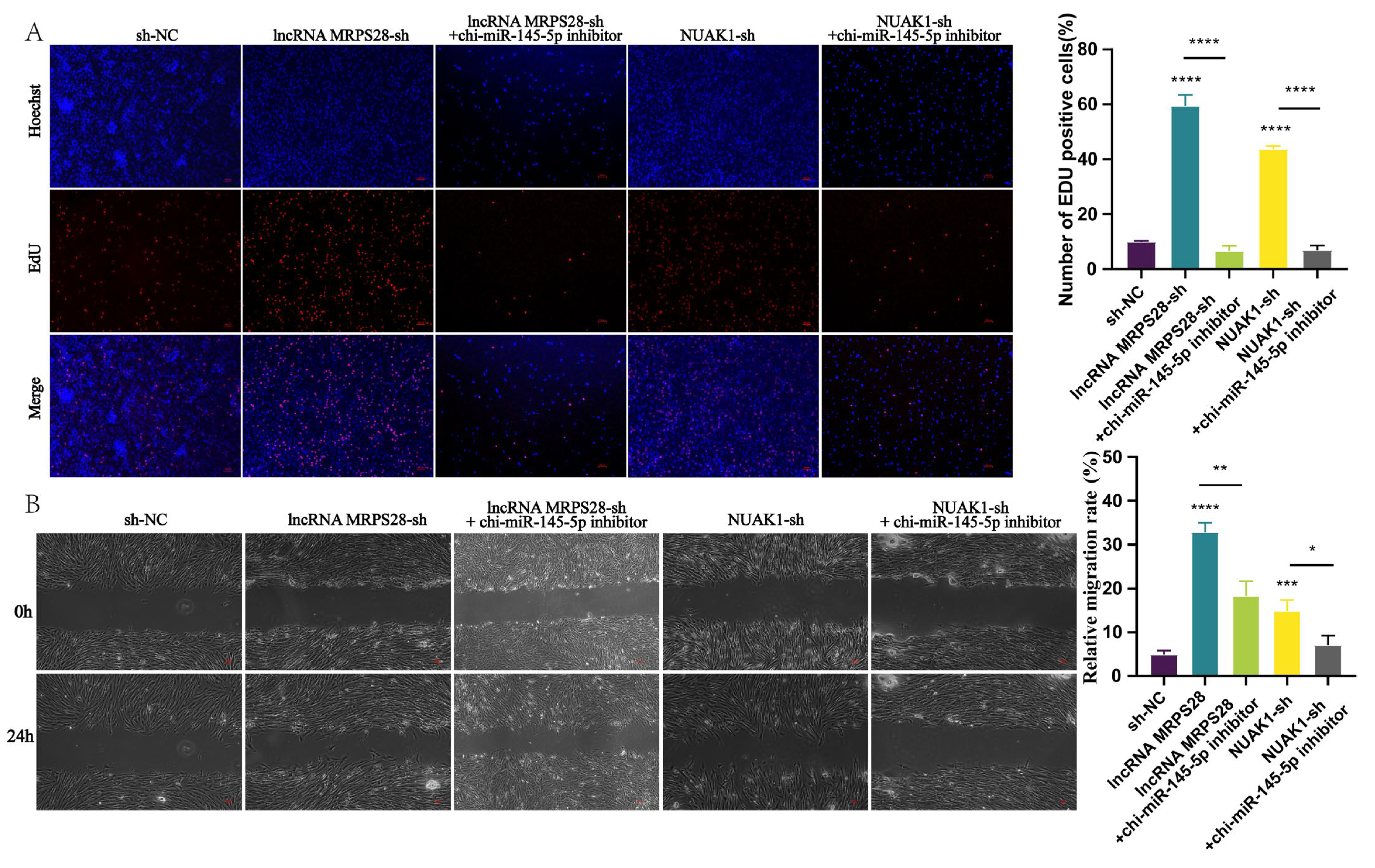 Animals 15 01882 g006