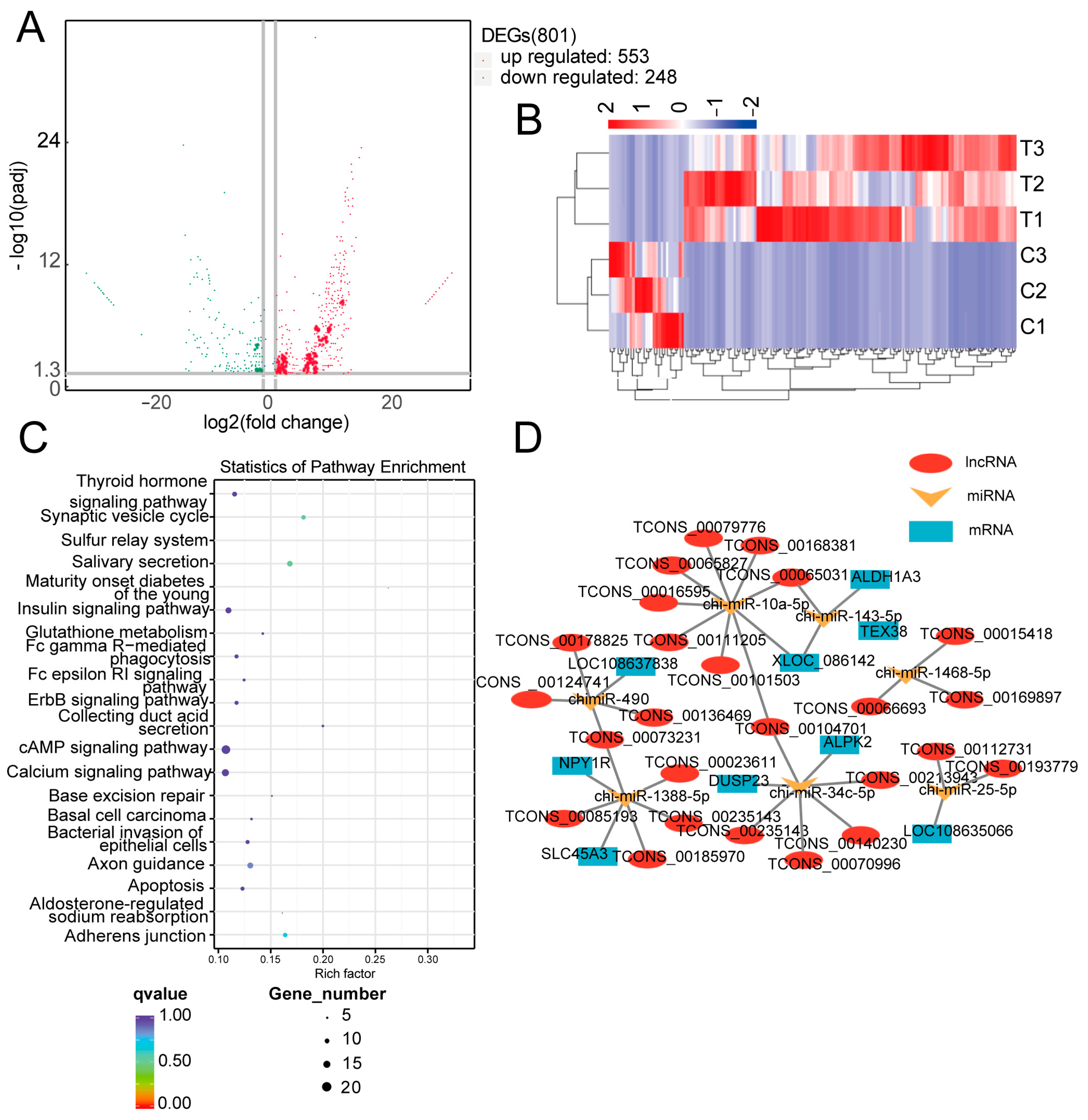 Animals 15 01884 g001